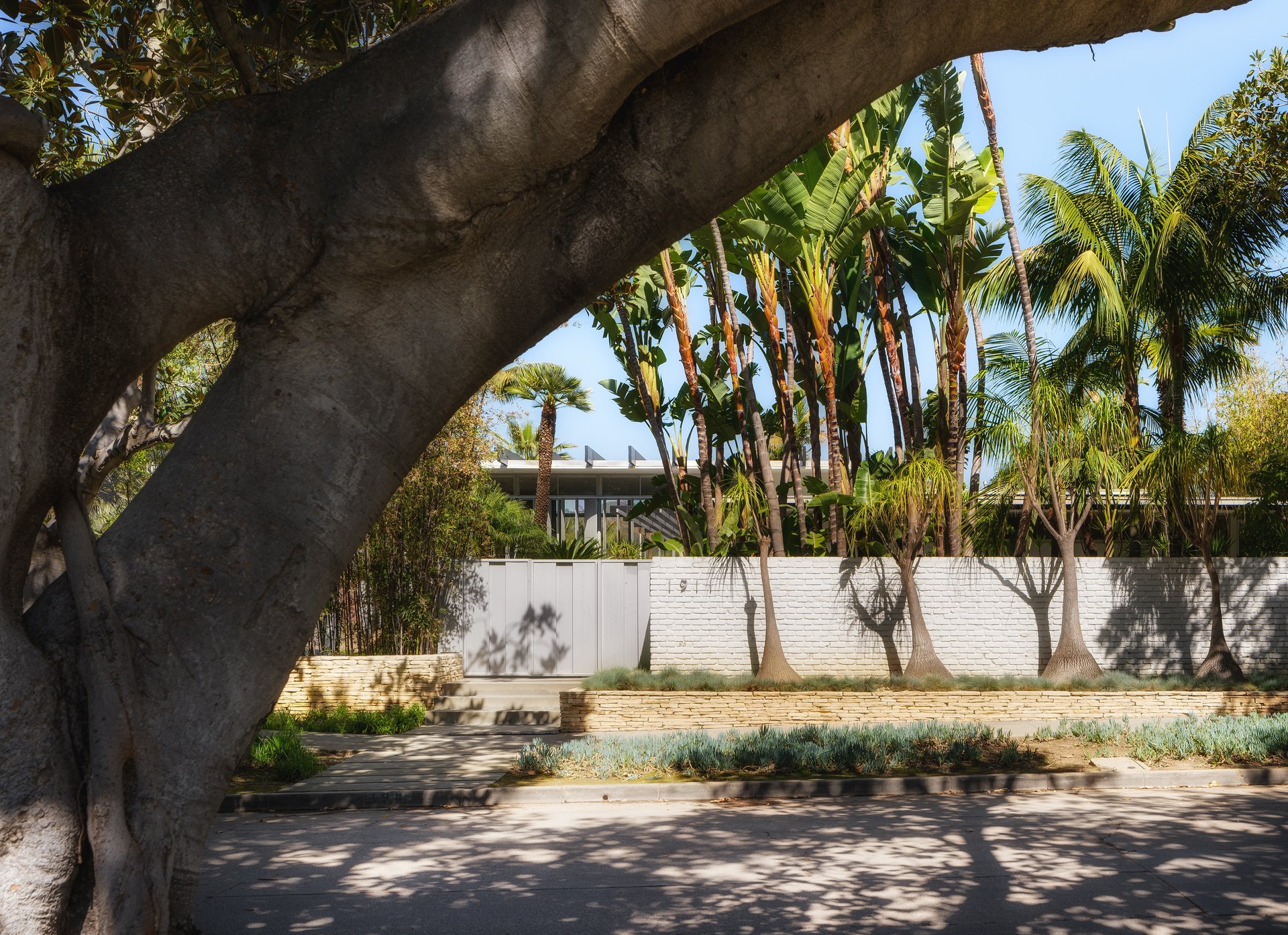 1911 La Mesa Dr
