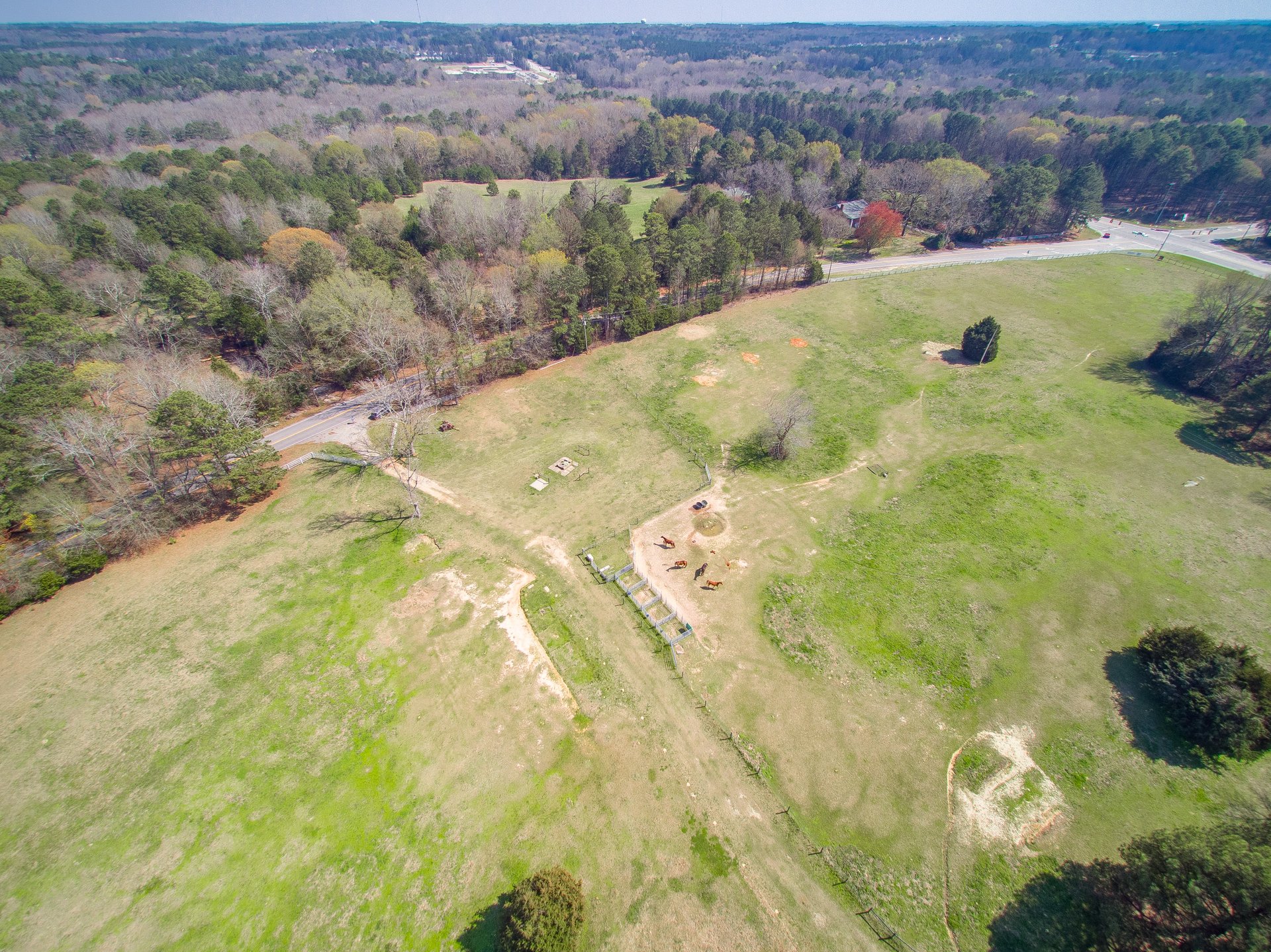Watson Farms