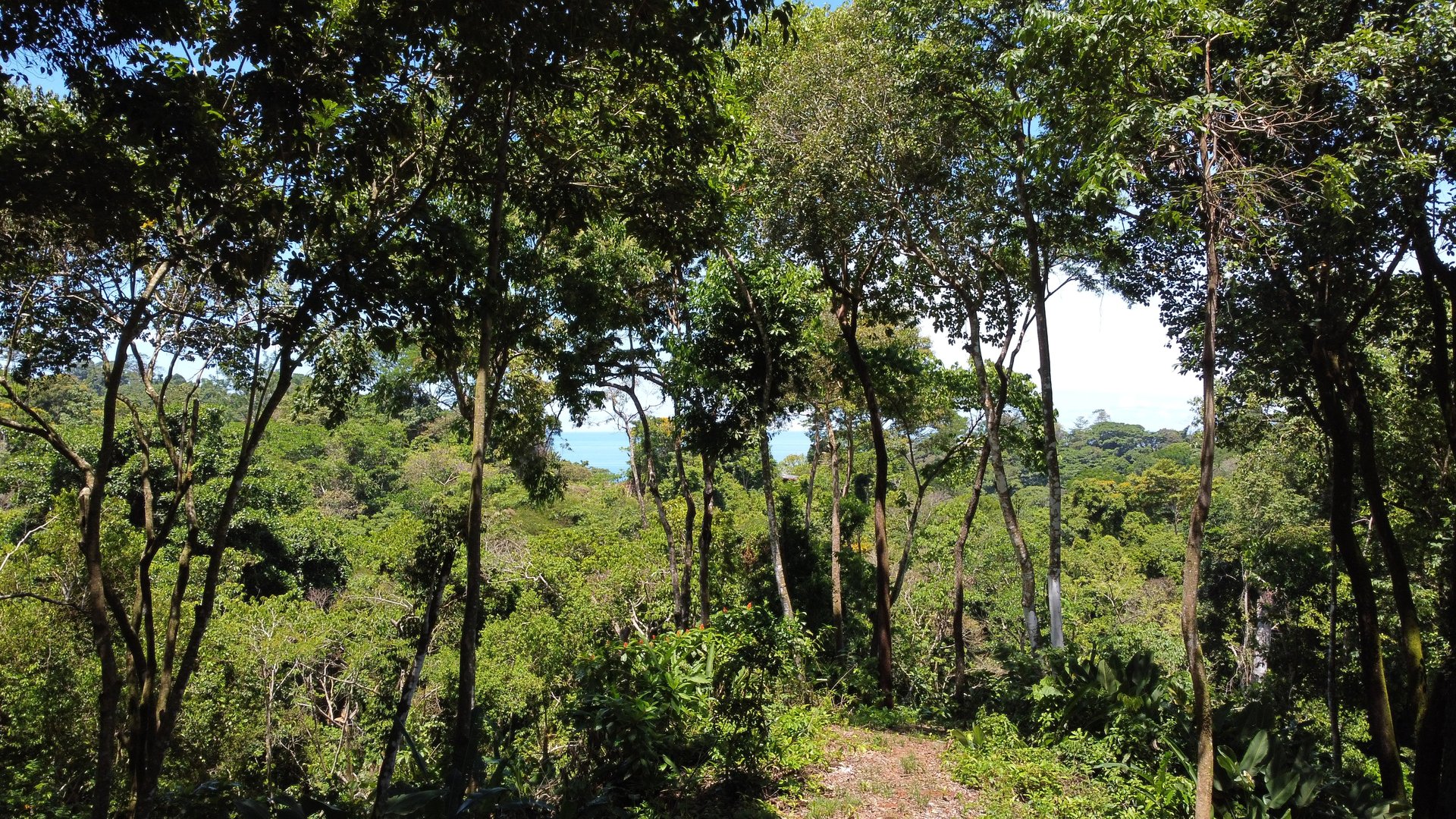 Ocean View Lot in Paradise Breezes, Hatillo - Ready to build