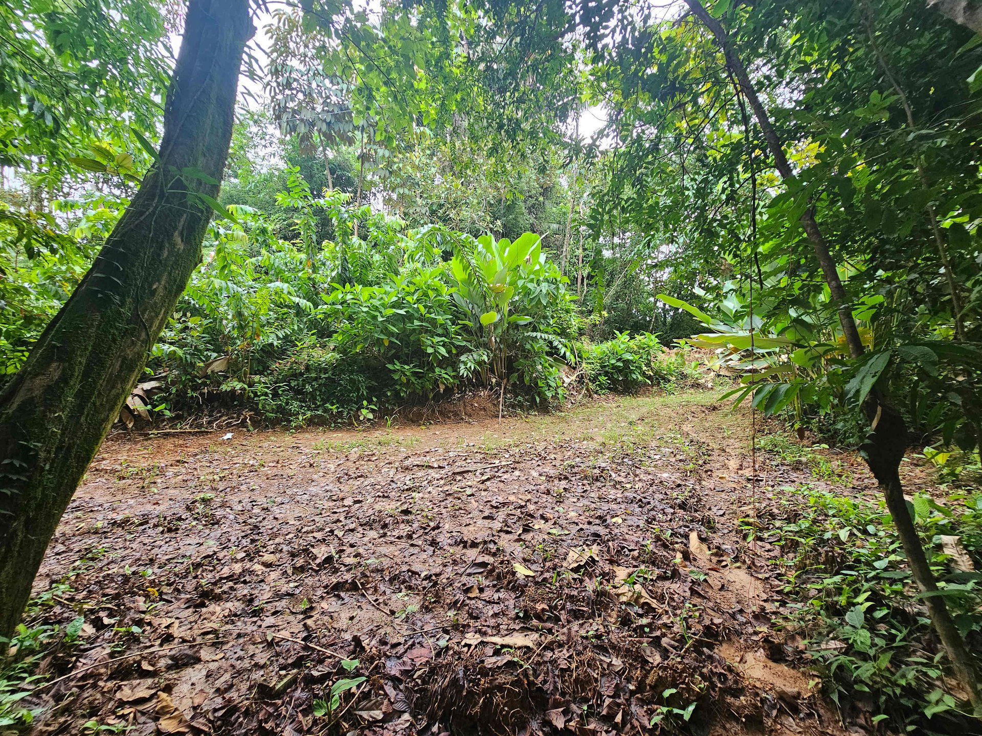Discover Your Dream in Uvita's Prime Real Estate