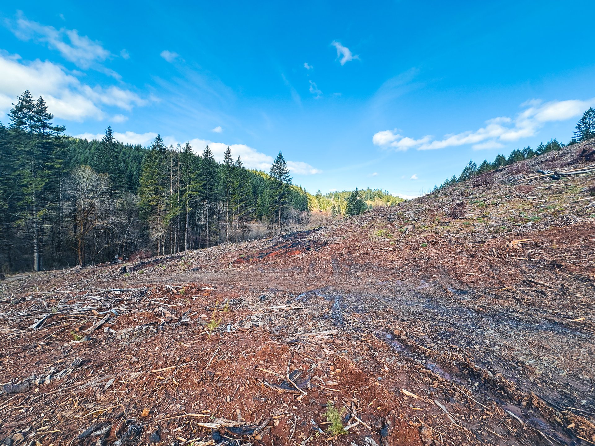 Sharewater Homesite