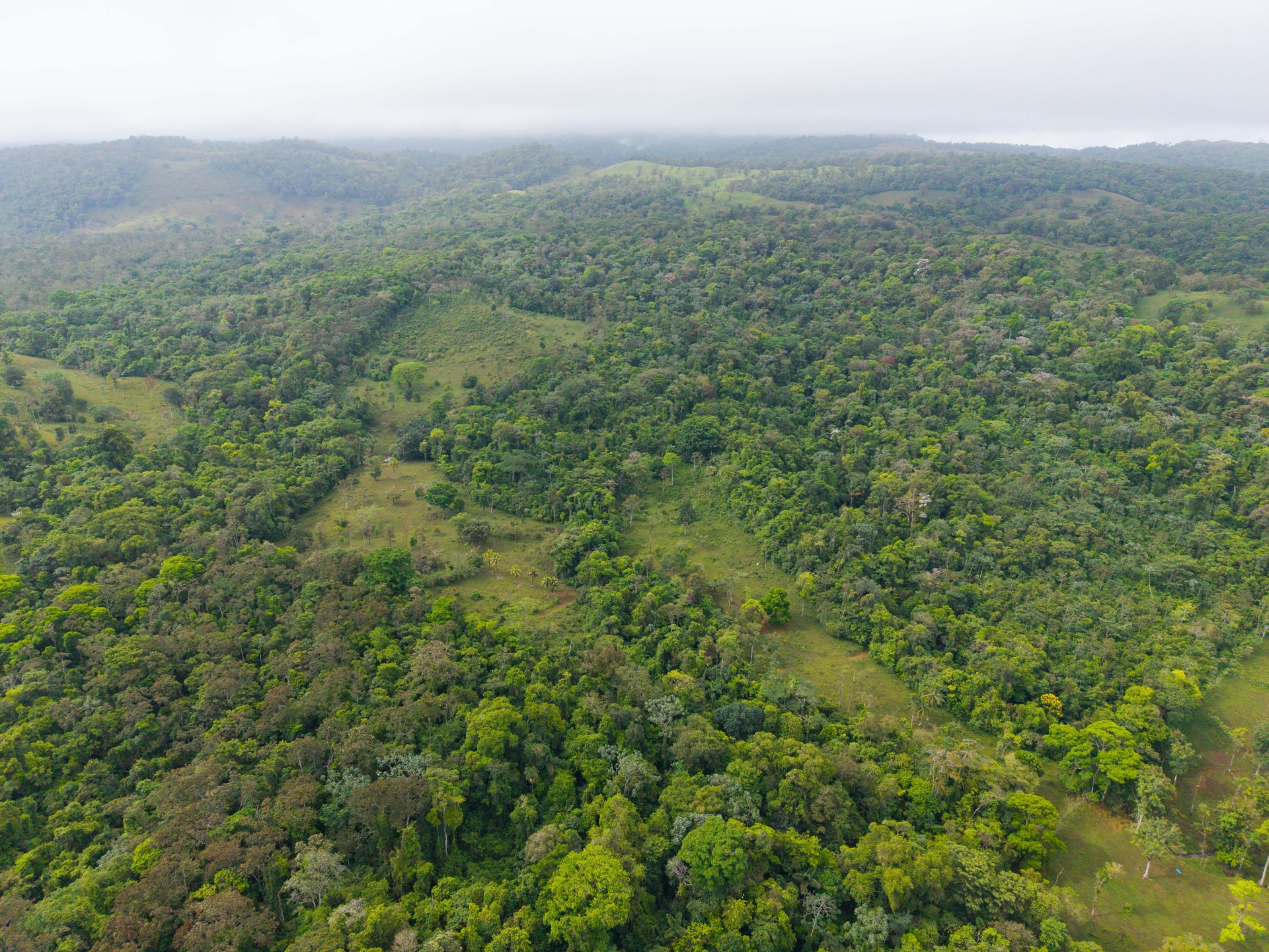 Finca Las Zompopas-Río Celeste | 113-Acre Biodiverse Property in Bijagua, Ideal for Eco-Tourism, Private Retreats, or Sustainable Development
