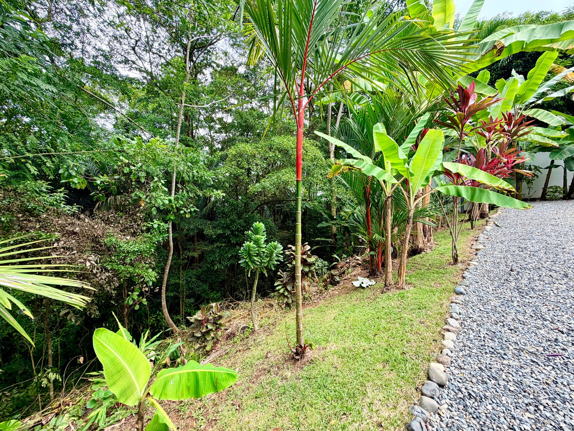 Tropical 2BR Home Near Playa Hermosa Beach | Successful Airbnb Rental in Uvita