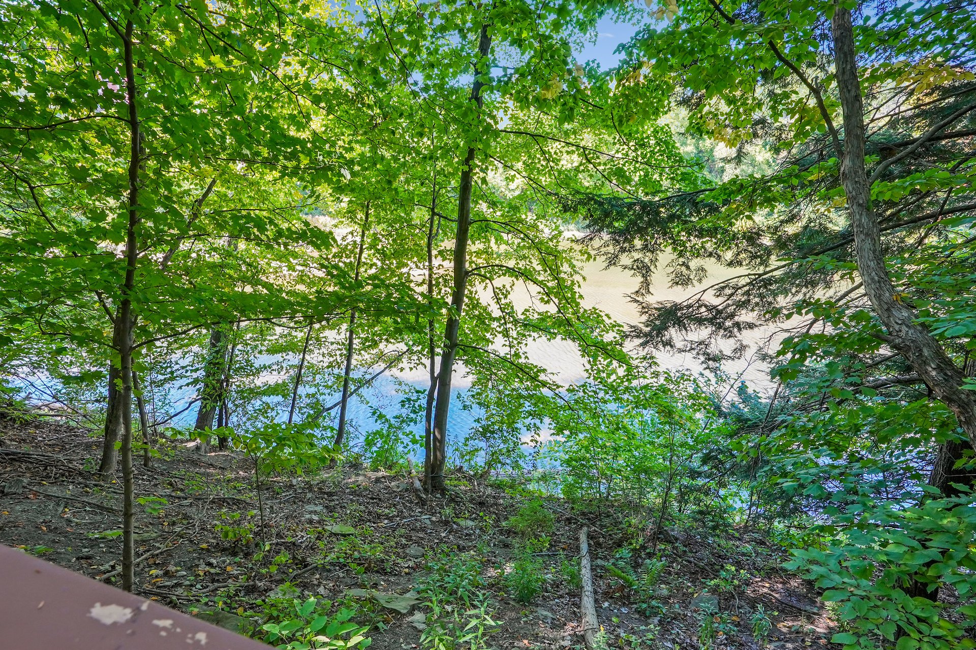 Muskoka in the City