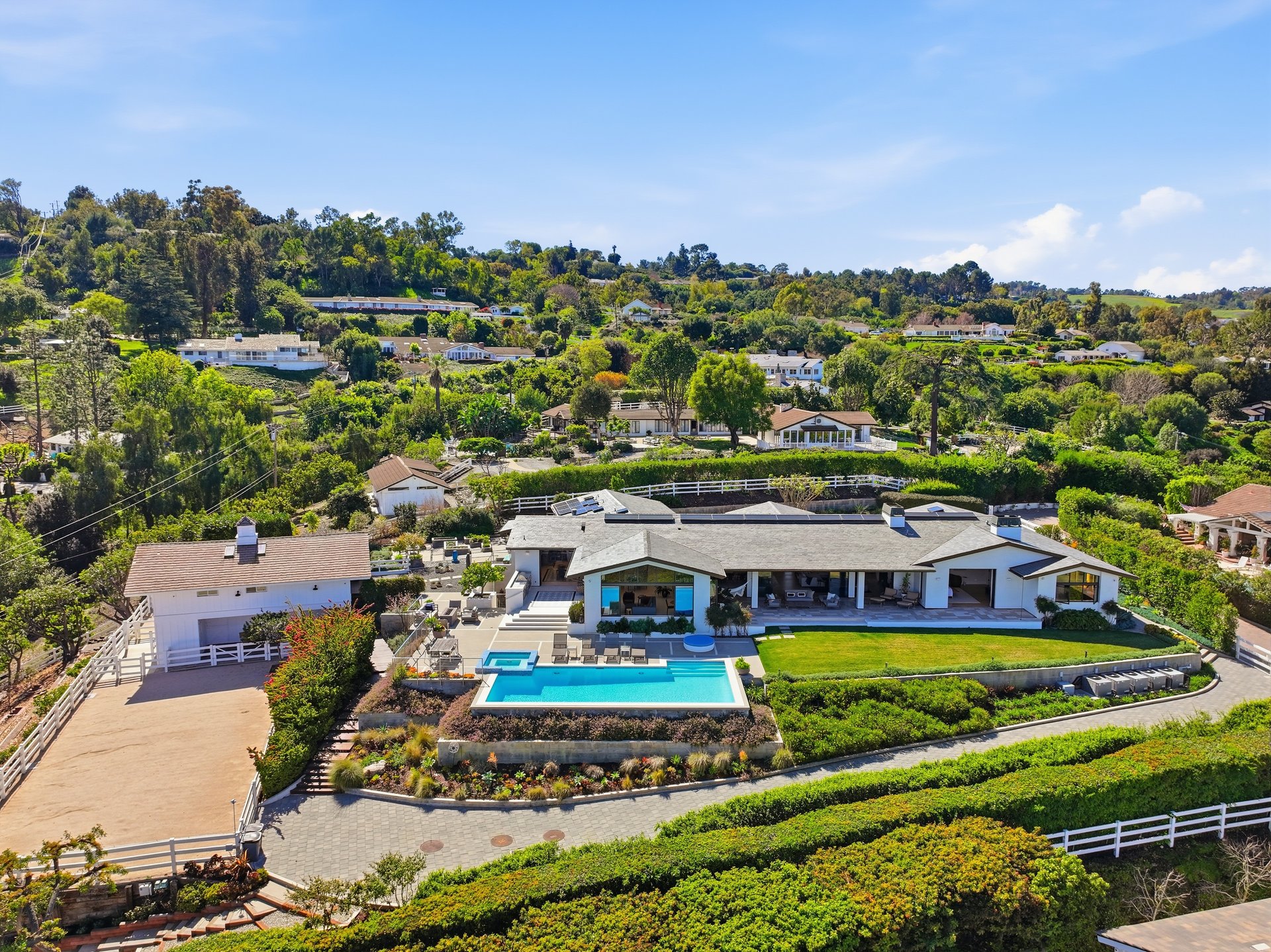 38 Saddleback