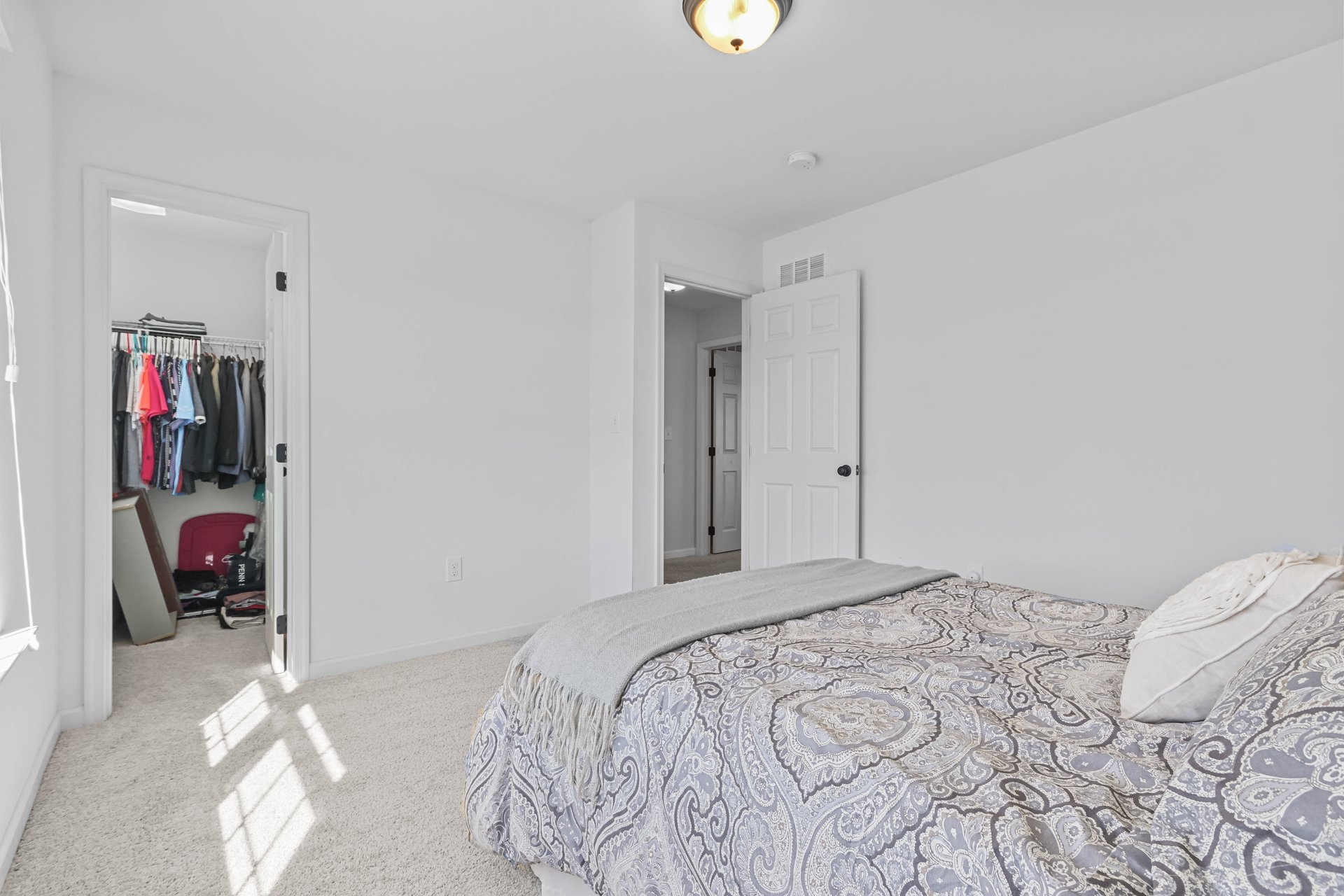 290 Palmetto Drive