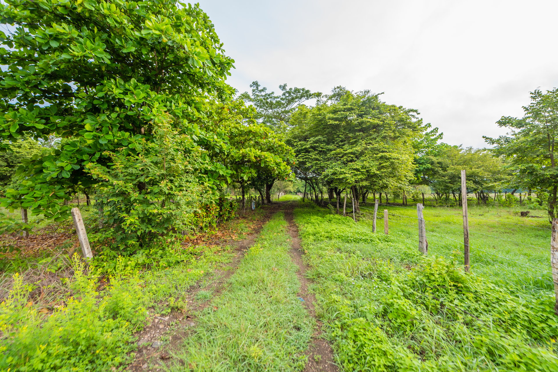La Garita de Tamarindo Lot | 1.3-Acre Home Site Near Top Beaches, Private, Scenic, and Well-Located