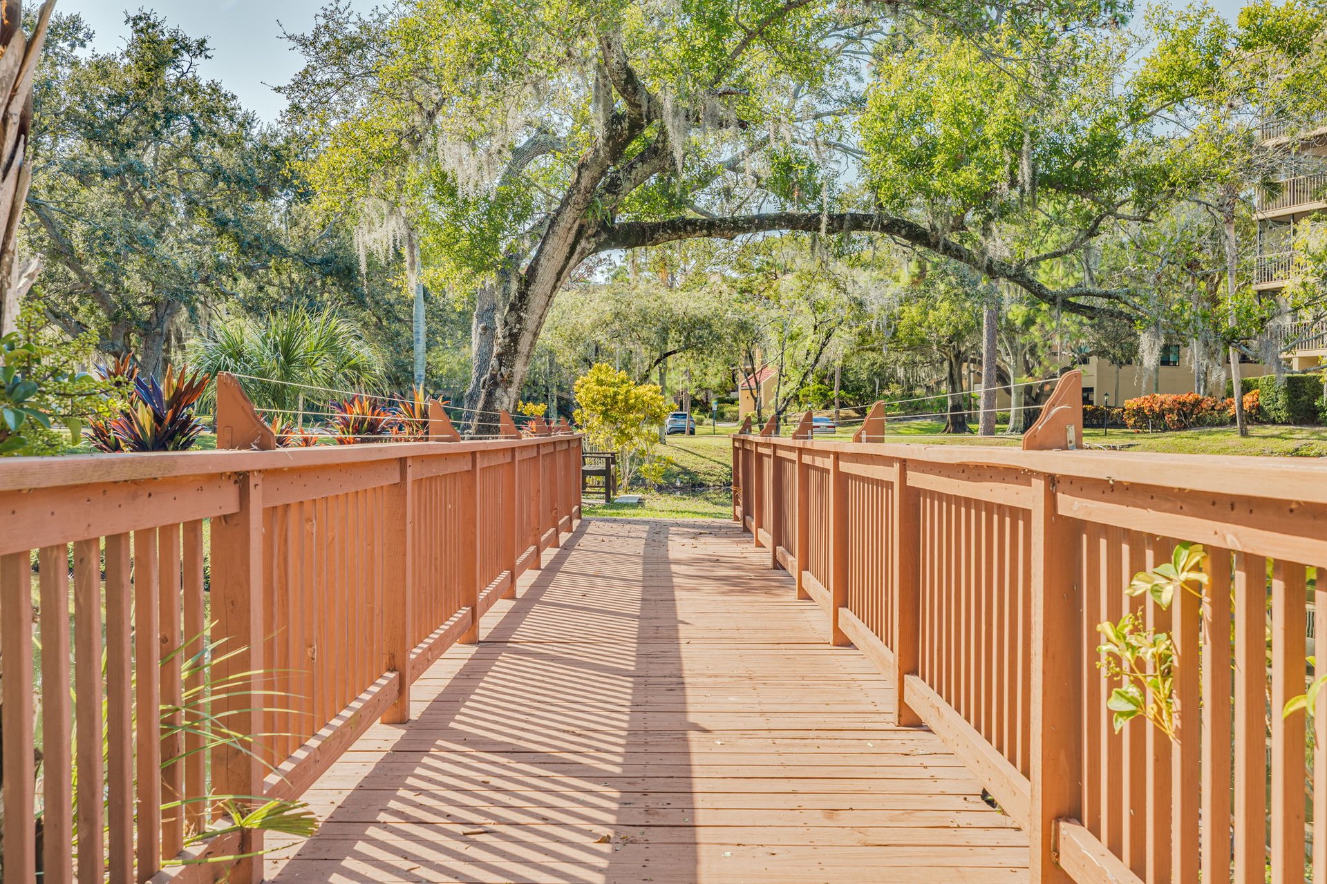1 Bedroom Condo in Clearwater
