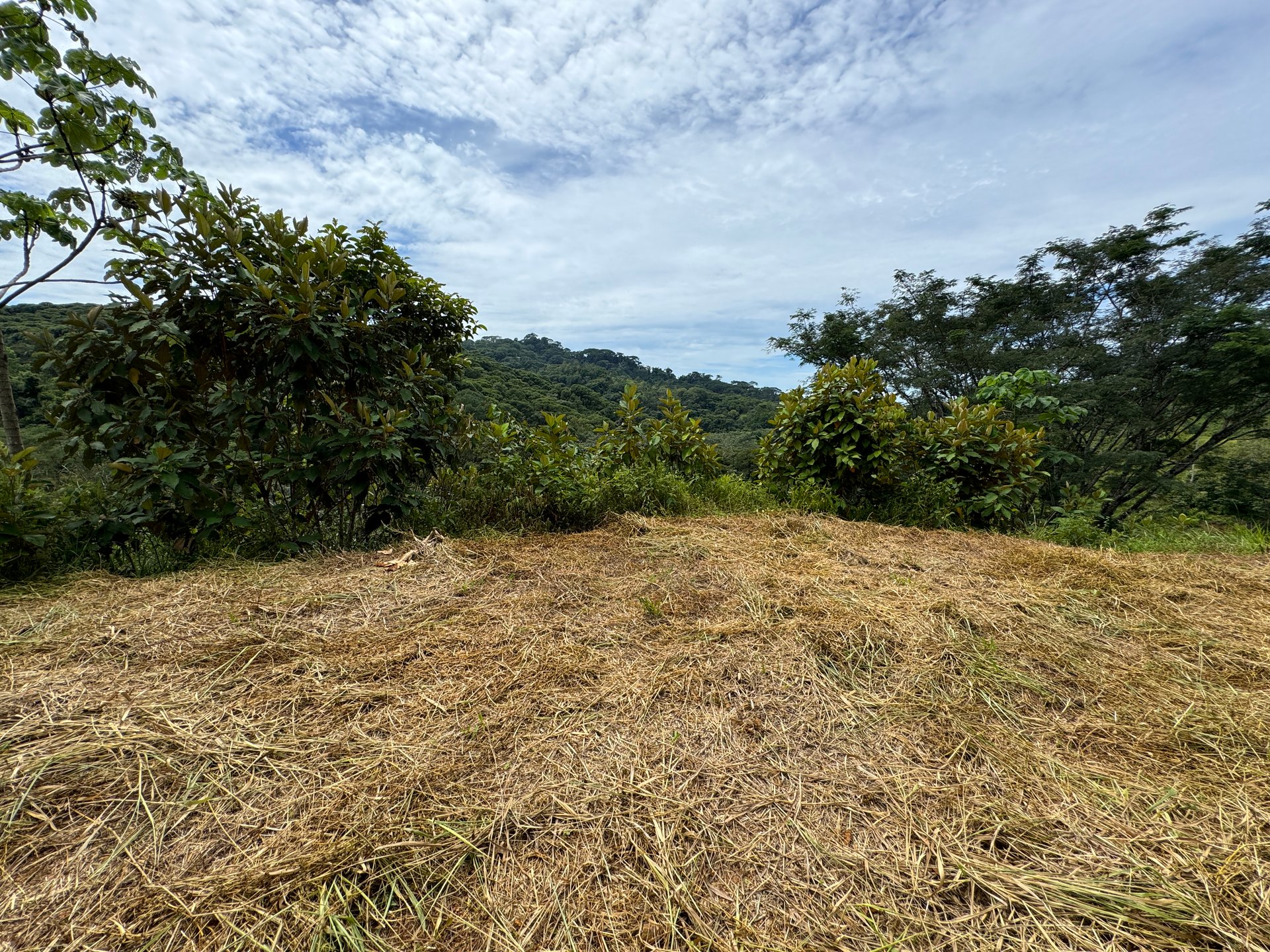 2.6 ACRES – 3 Bedroom Home With Beautiful Views, Several More Building Sites, Perfect For Small Farm!!!