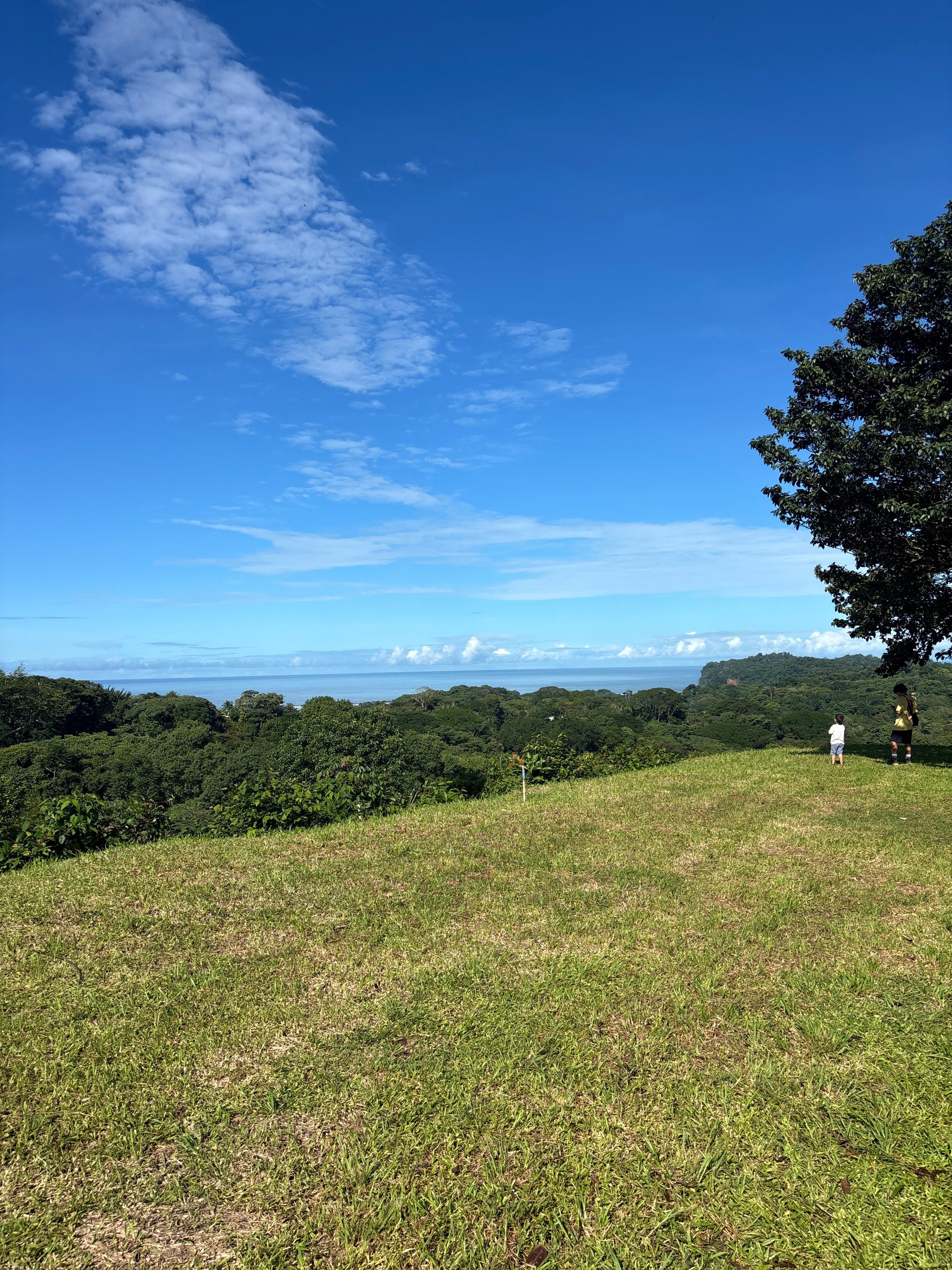 3.41 Acres, Ocean View Property In Ojochal With Legal Water!