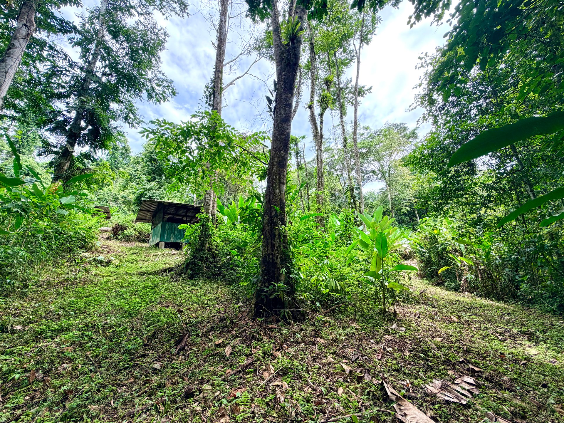 Uvita Development Farm - 45.4 Acres Estate