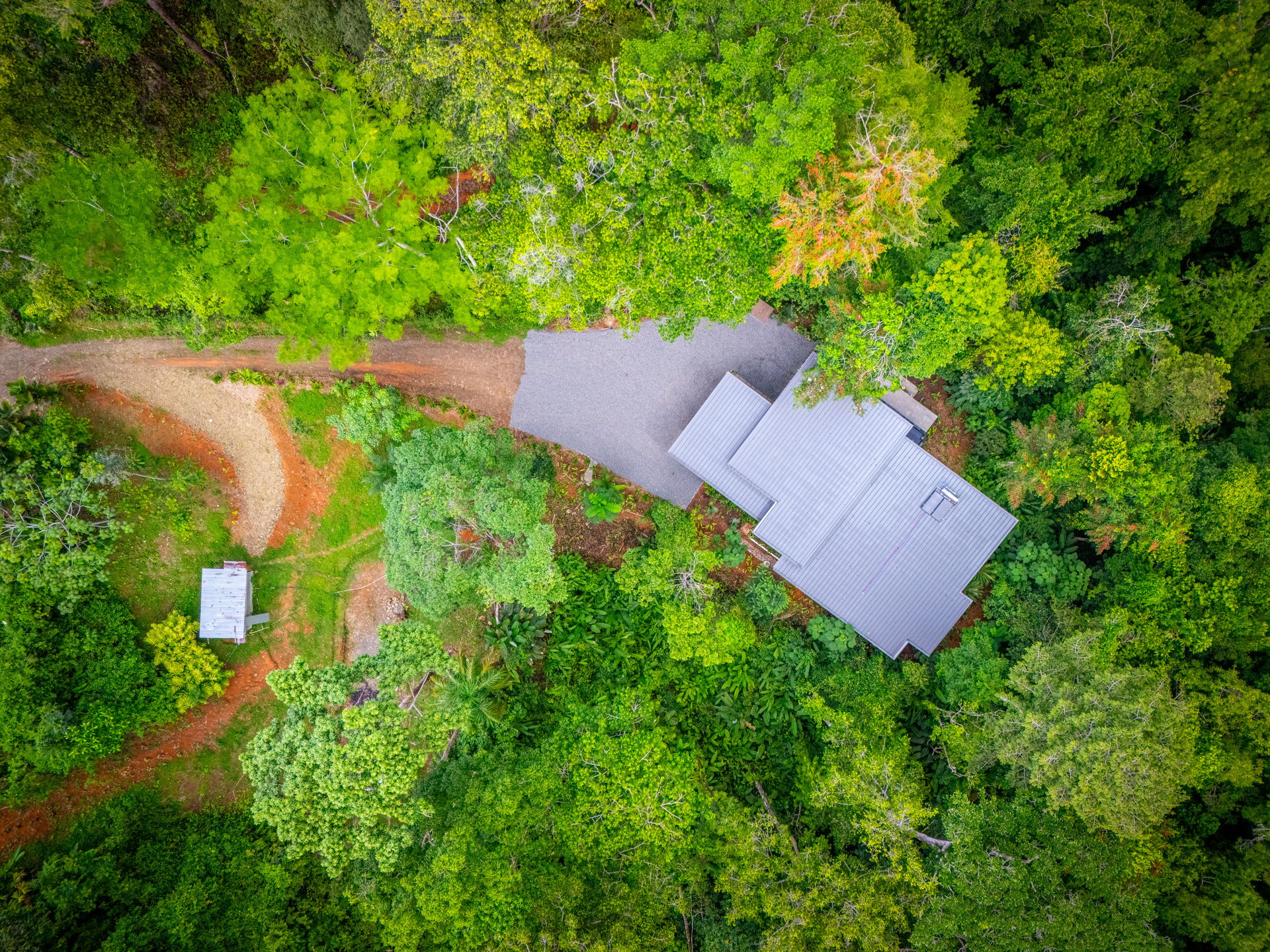 Casa Selva Vida, Uvita Costa Rica