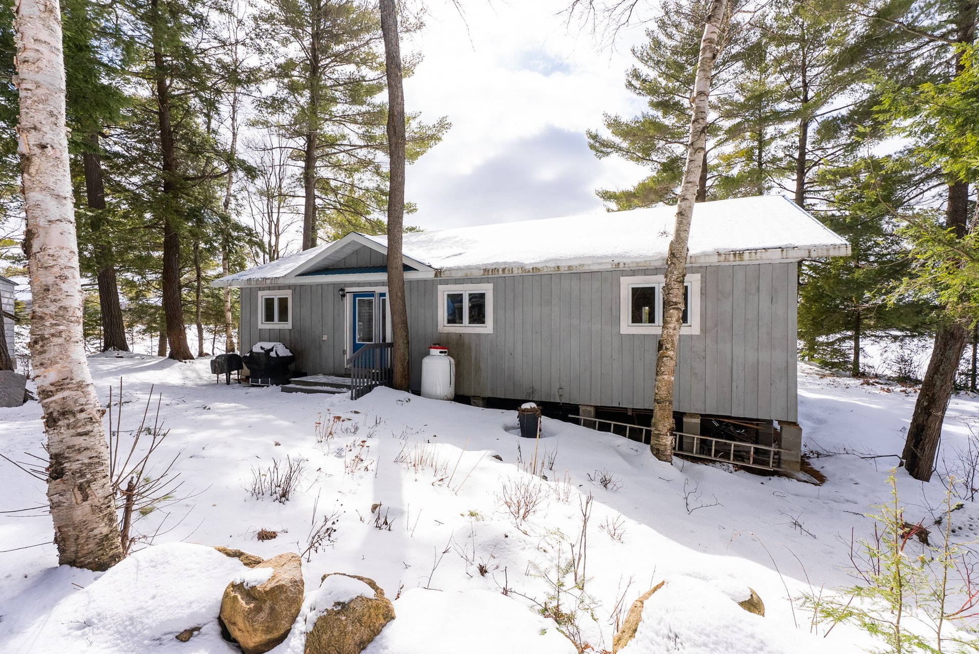 3301B Axe Lake Road