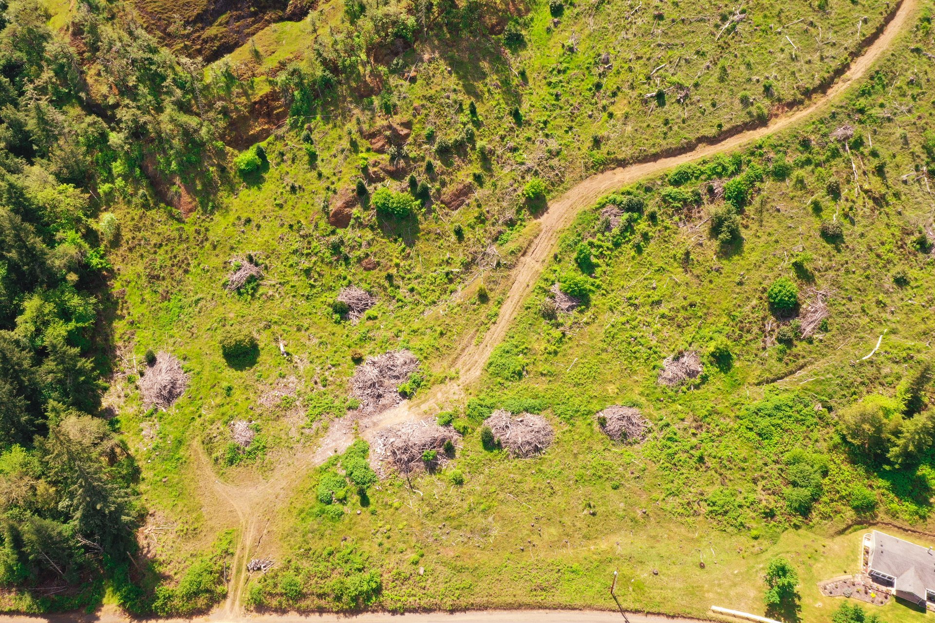 STRICKLAND BOULDER FOREST