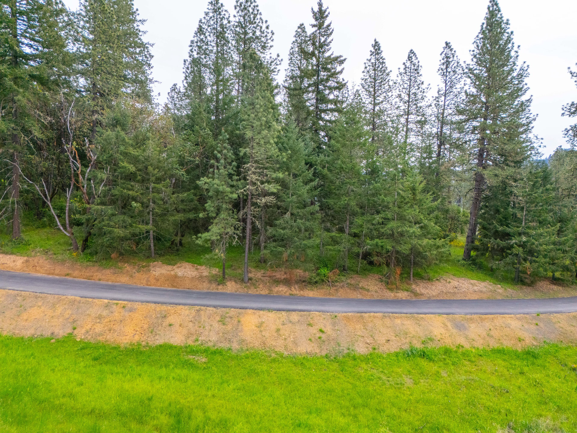 SUTHERLIN WOODLOTS