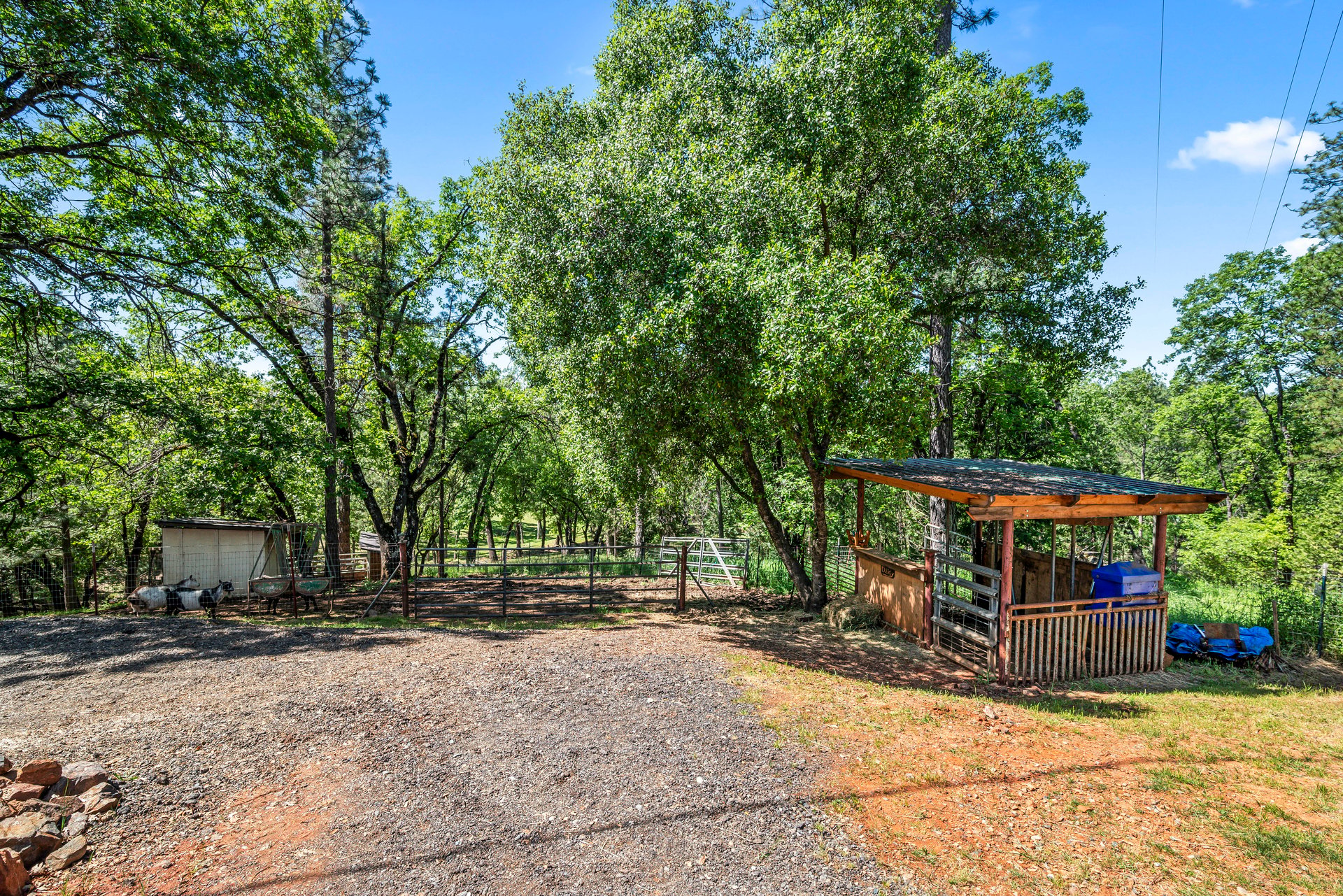 2405 No Walk Rd, Placerville