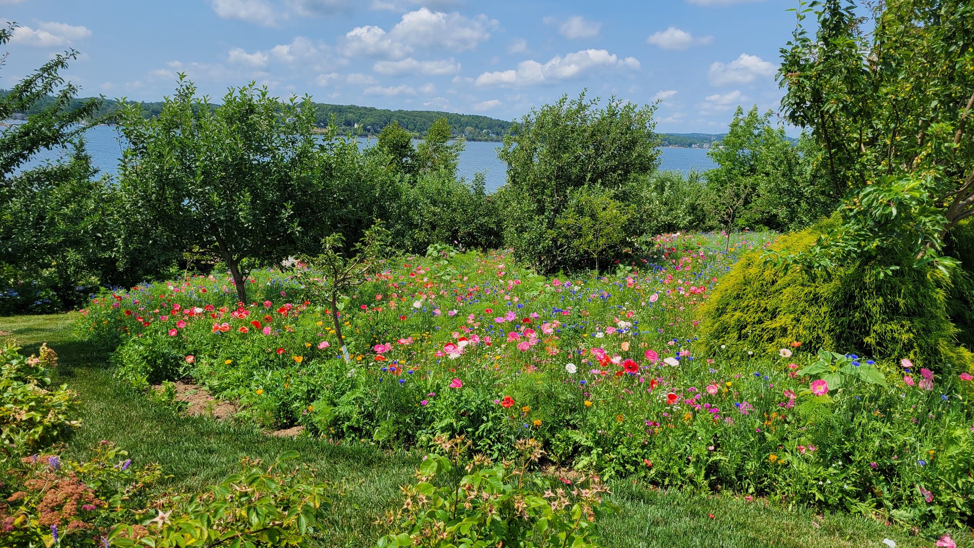 Strum Island - A Private Island Haven in Mahone Bay