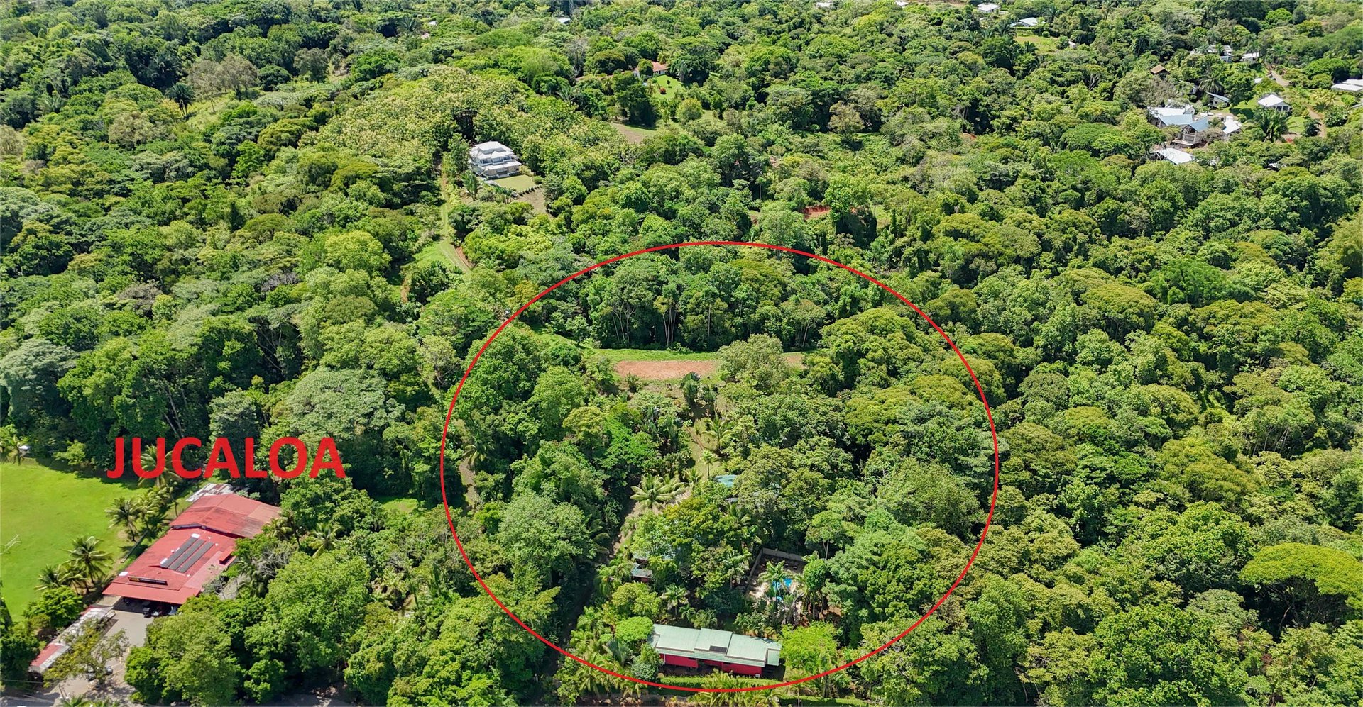 3 Cabins, A restaurant, A 3 Bed House And Multiple Plantels In The Heart Of Ojochal