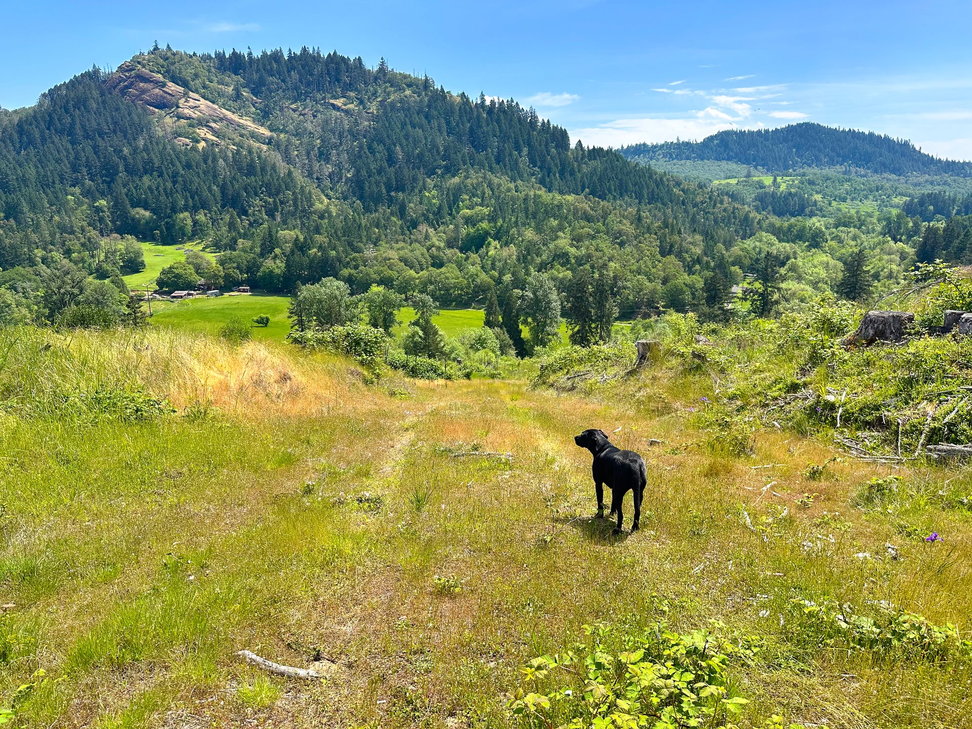 STRICKLAND CANYON HOMESITE