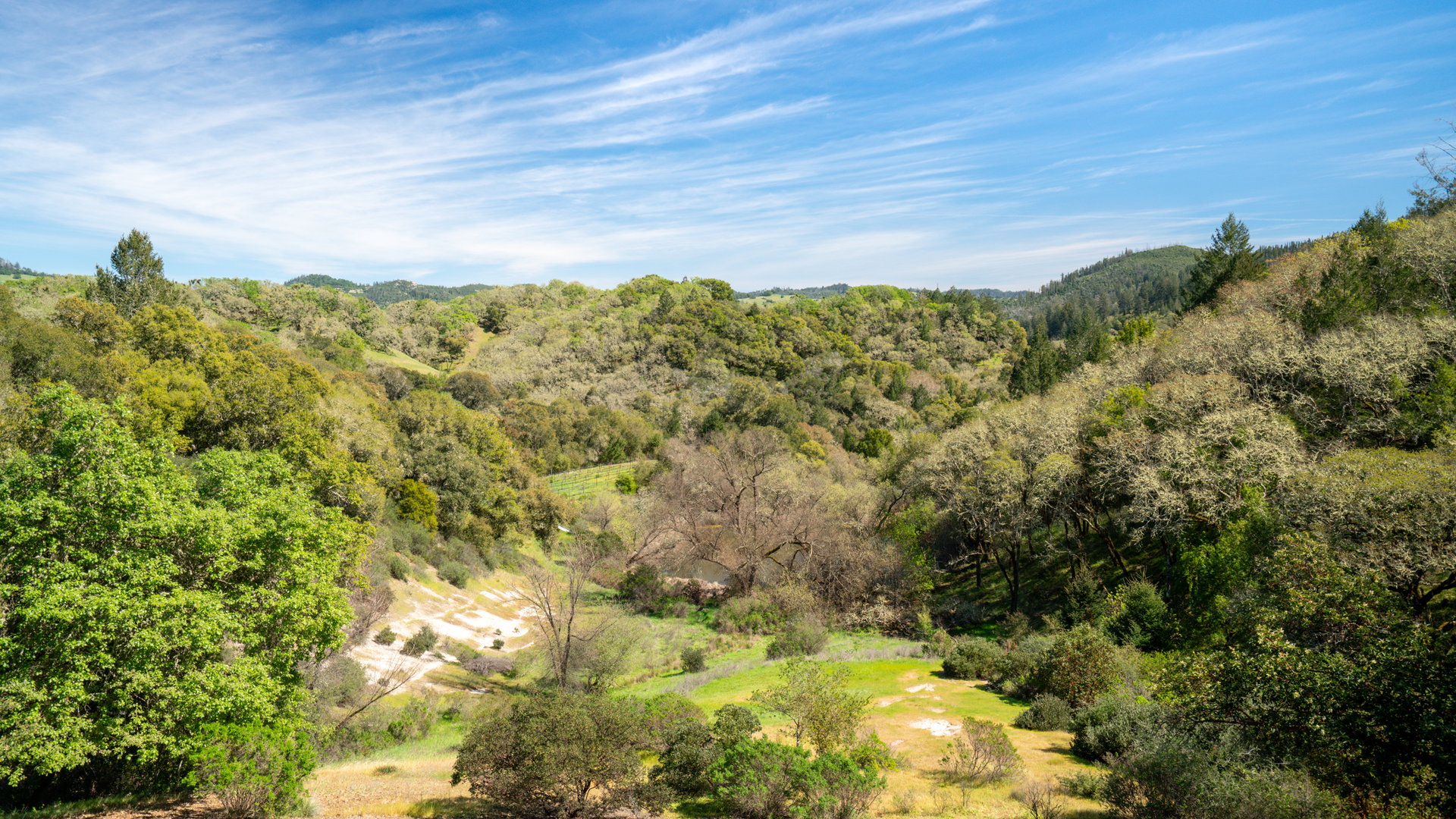 Leslie Creek Retreat