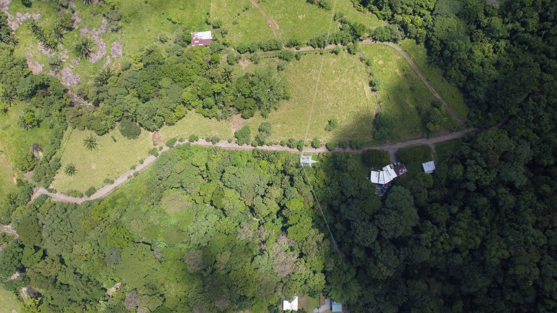 Fixer-Upper Home with an studio Office in Palmar Norte on a 7.58 Acres Property