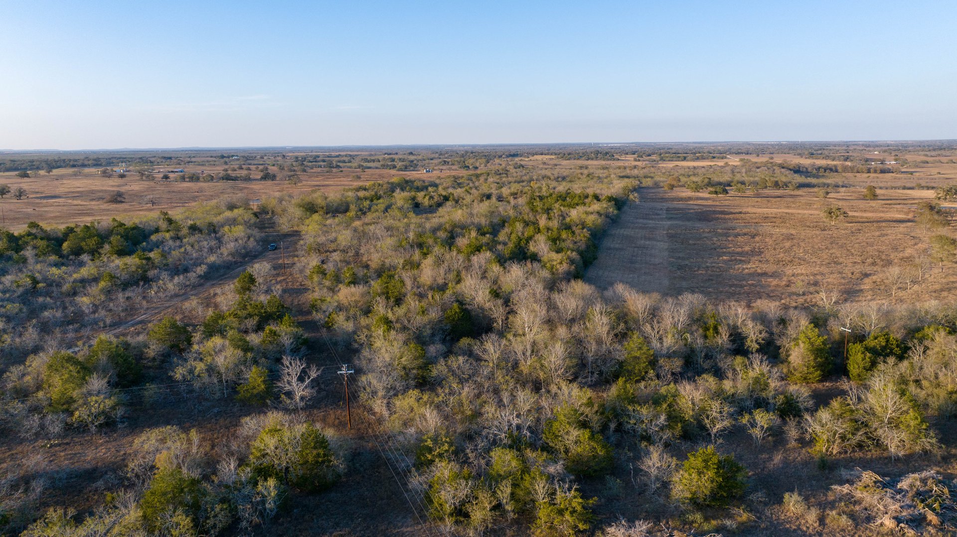 Gonzales County | 104+/- Acres