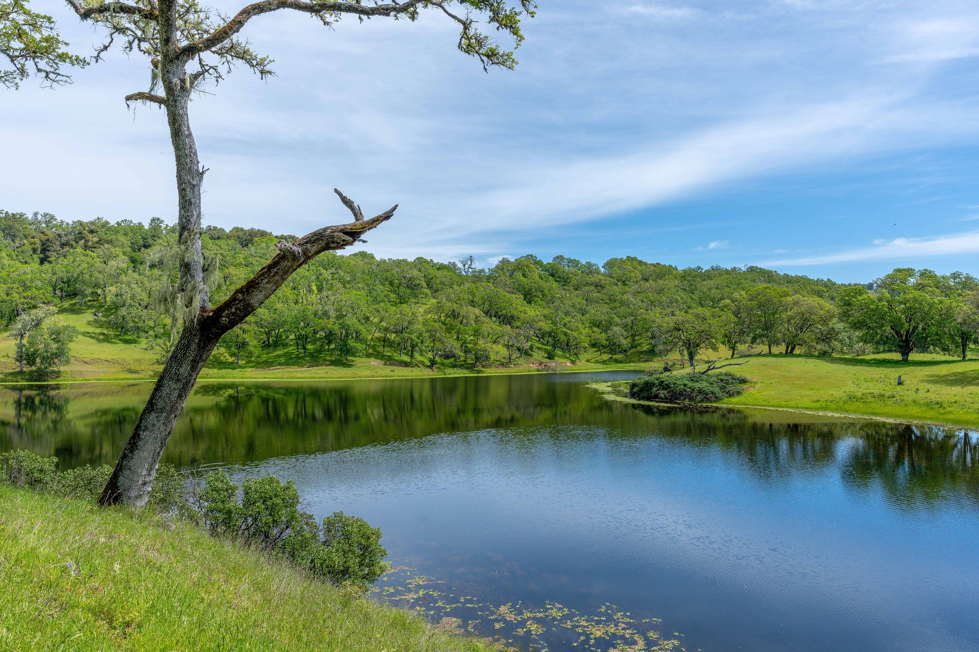 The Hopland Hills Ranch
