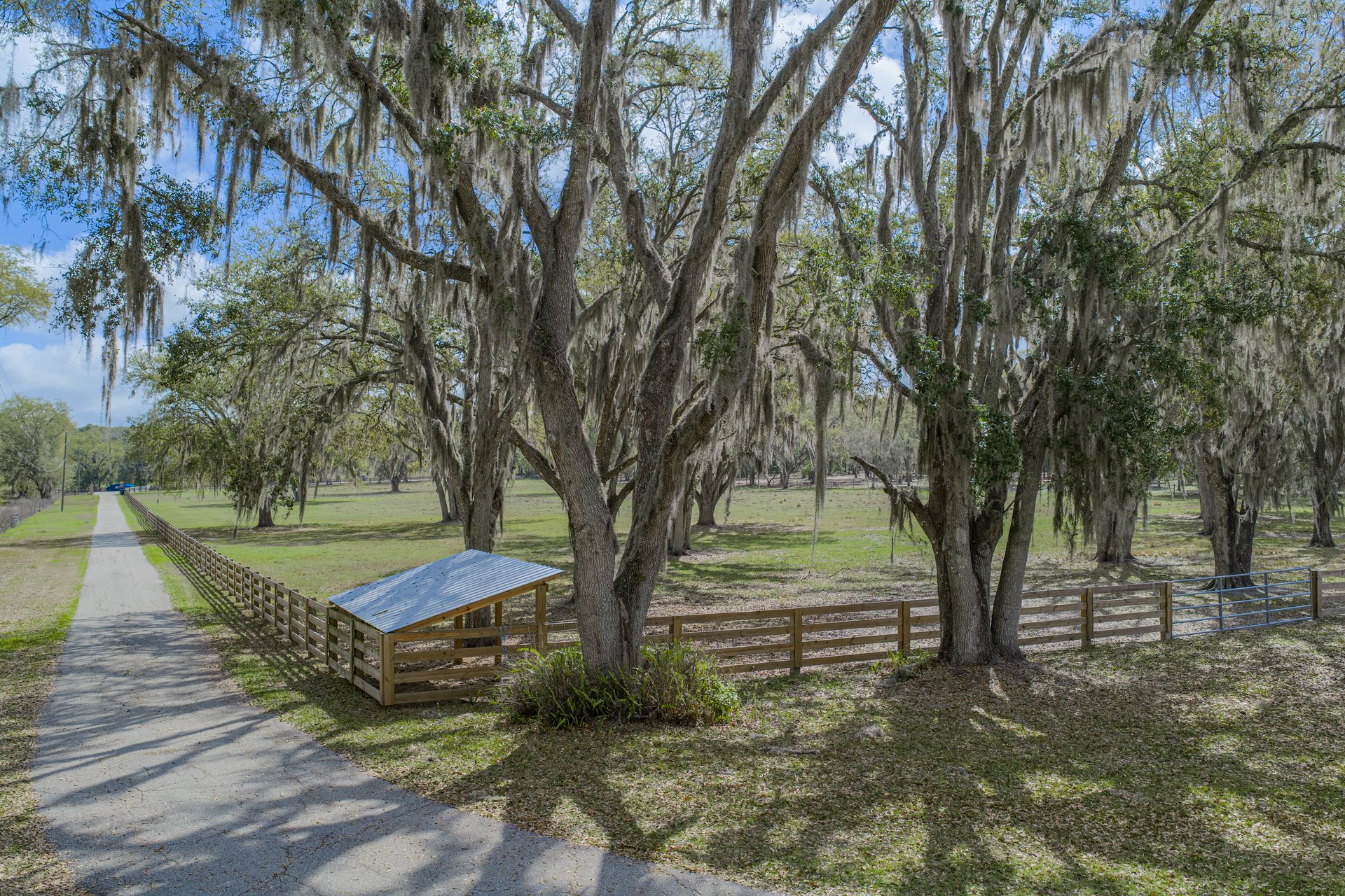 15131 BELLAMY BROTHERS BLVD