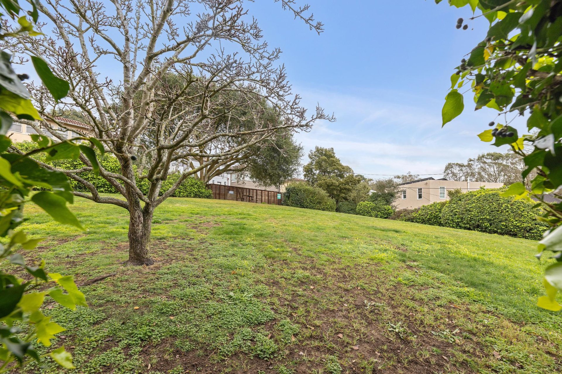 1435 Portola Drive
