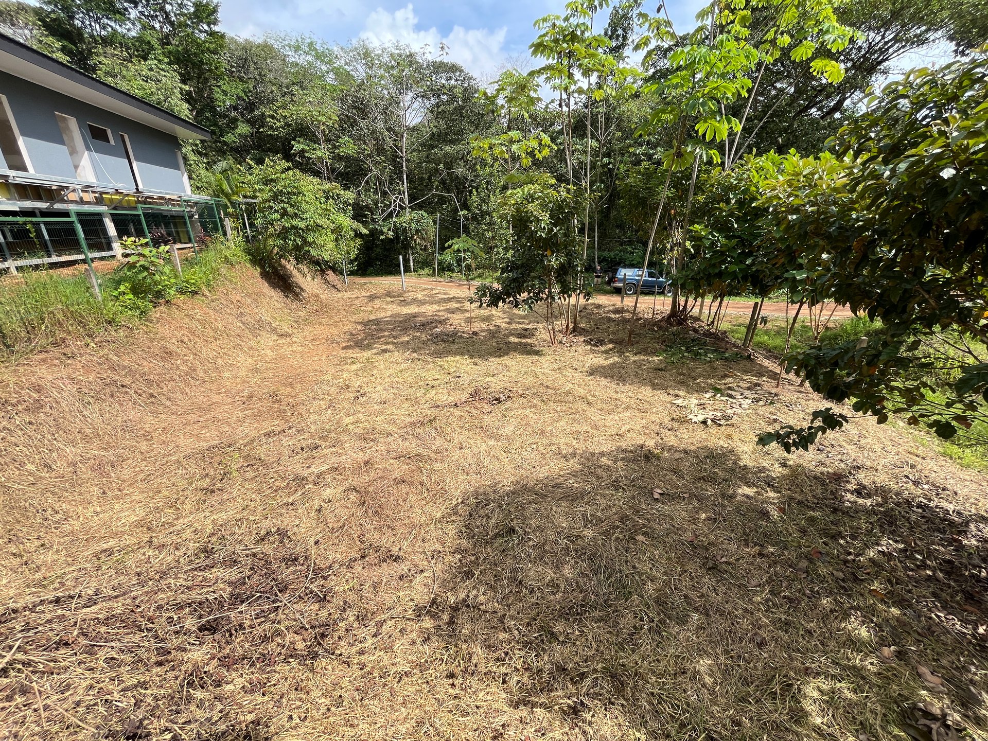 Affordable Uvita Lot UNDER $200-per-sqm - Perfect for Your Dream Home or Airbnb Investment
