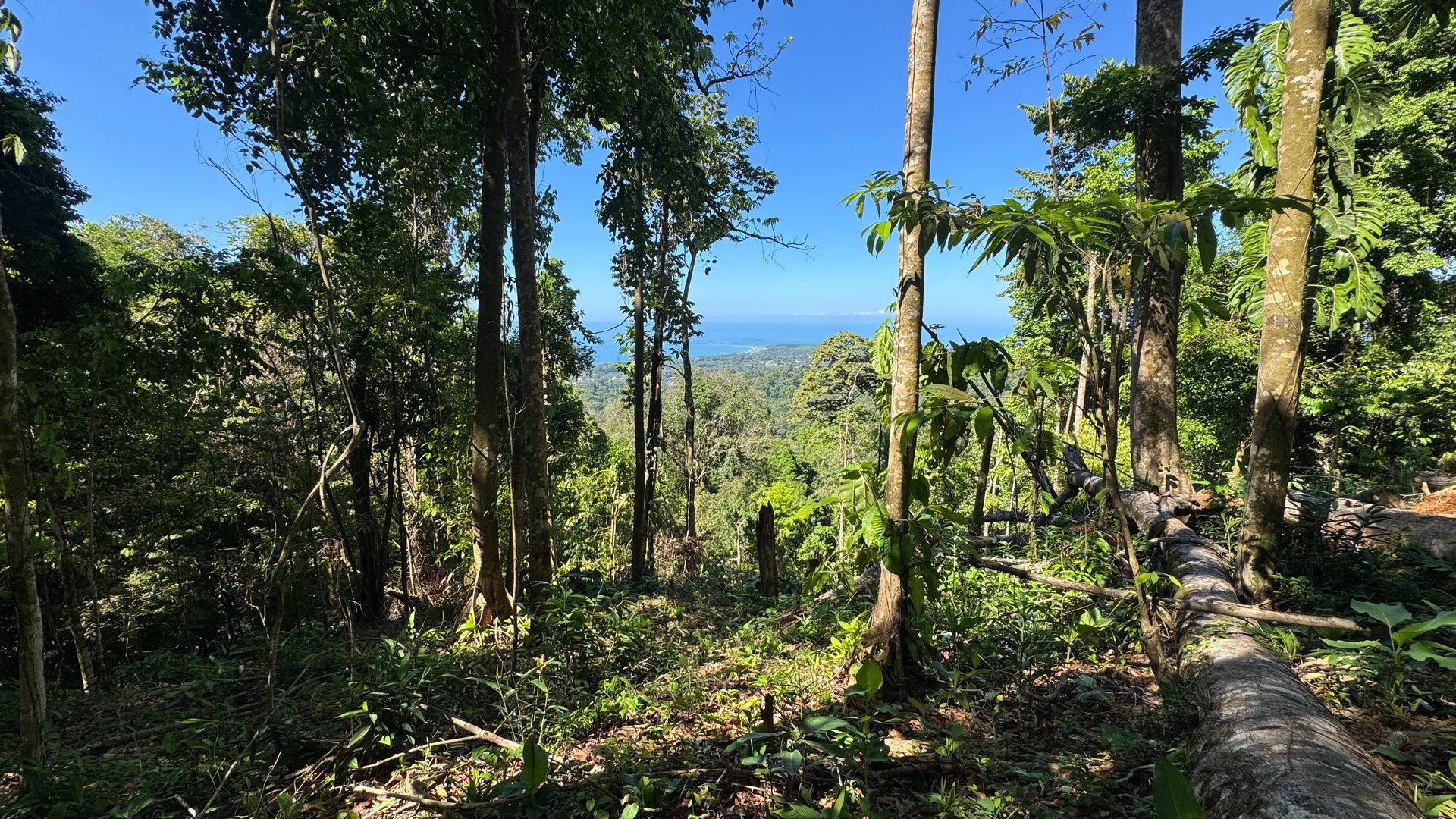 Front-Row Ocean View Lot in the Exclusive Mountains of La Unión
