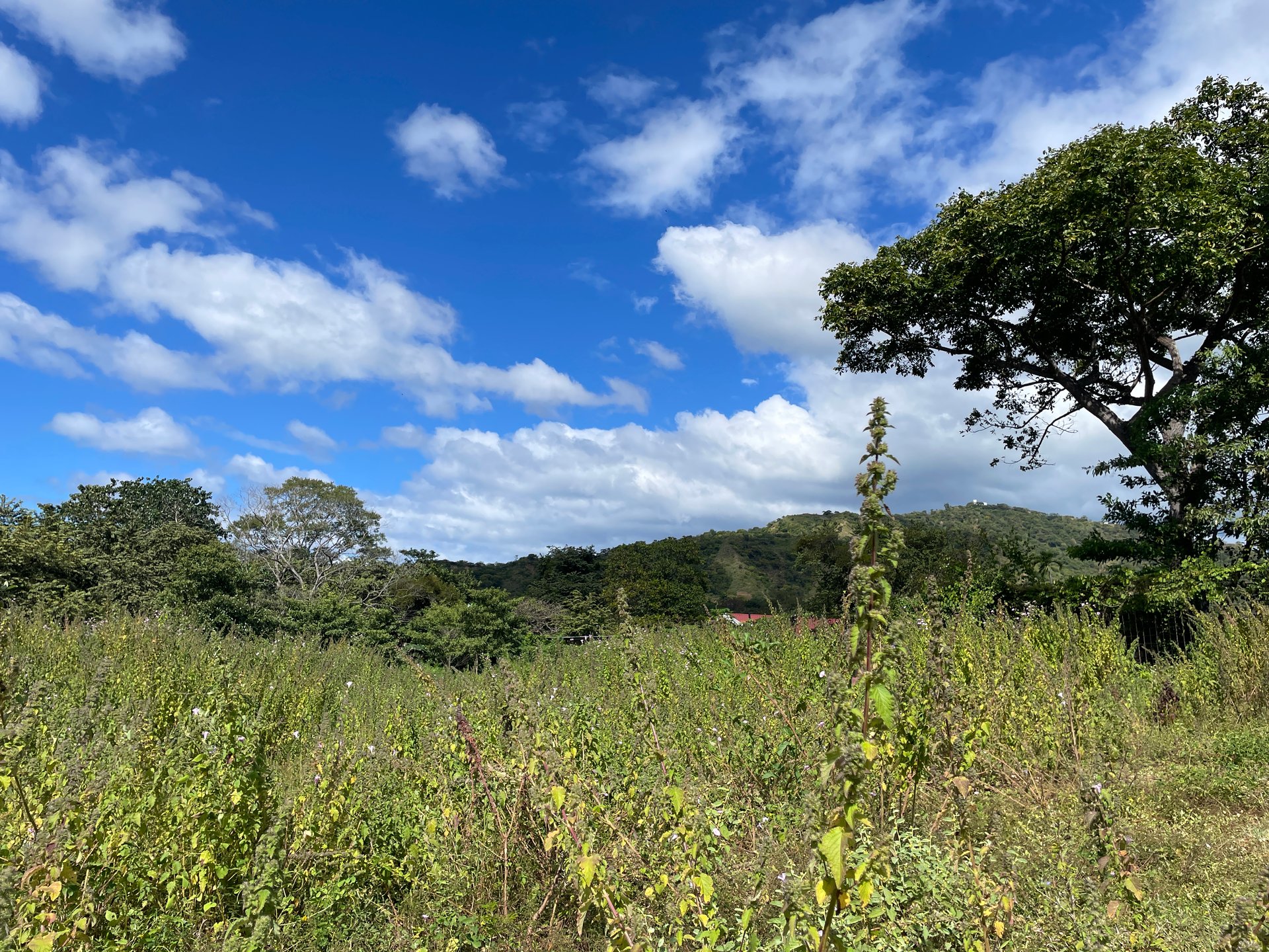 Private Jungle Estate Land in Vistas de Flamingo, Guanacaste, Costa Rica