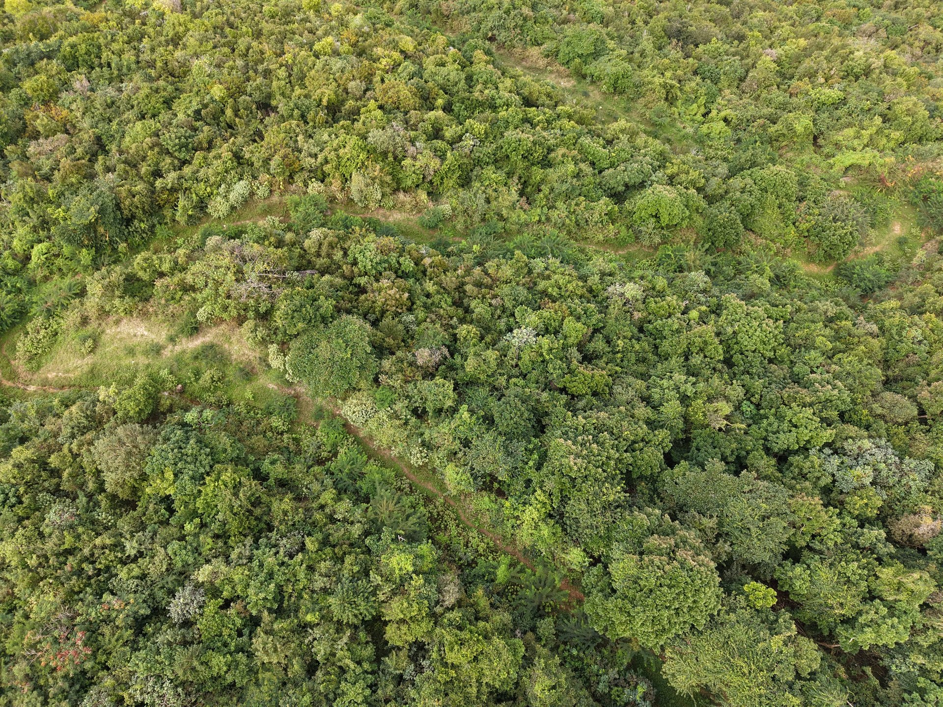 1030 Lorimer Lot - 0.51 Acres Close to the Ocean