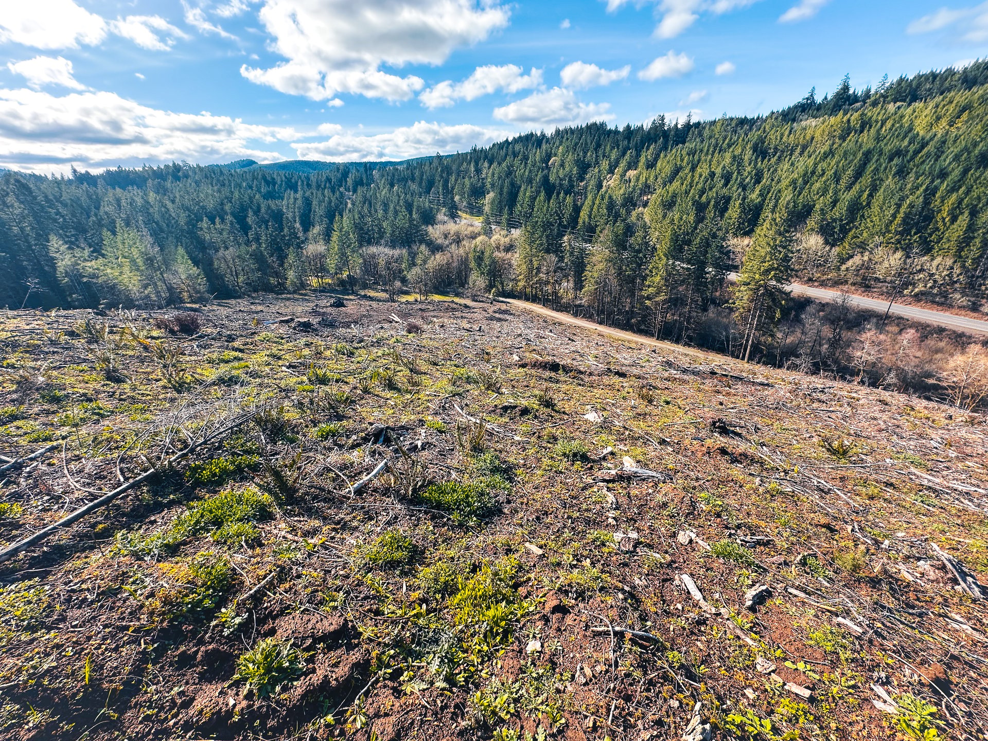 Sharewater Homesite