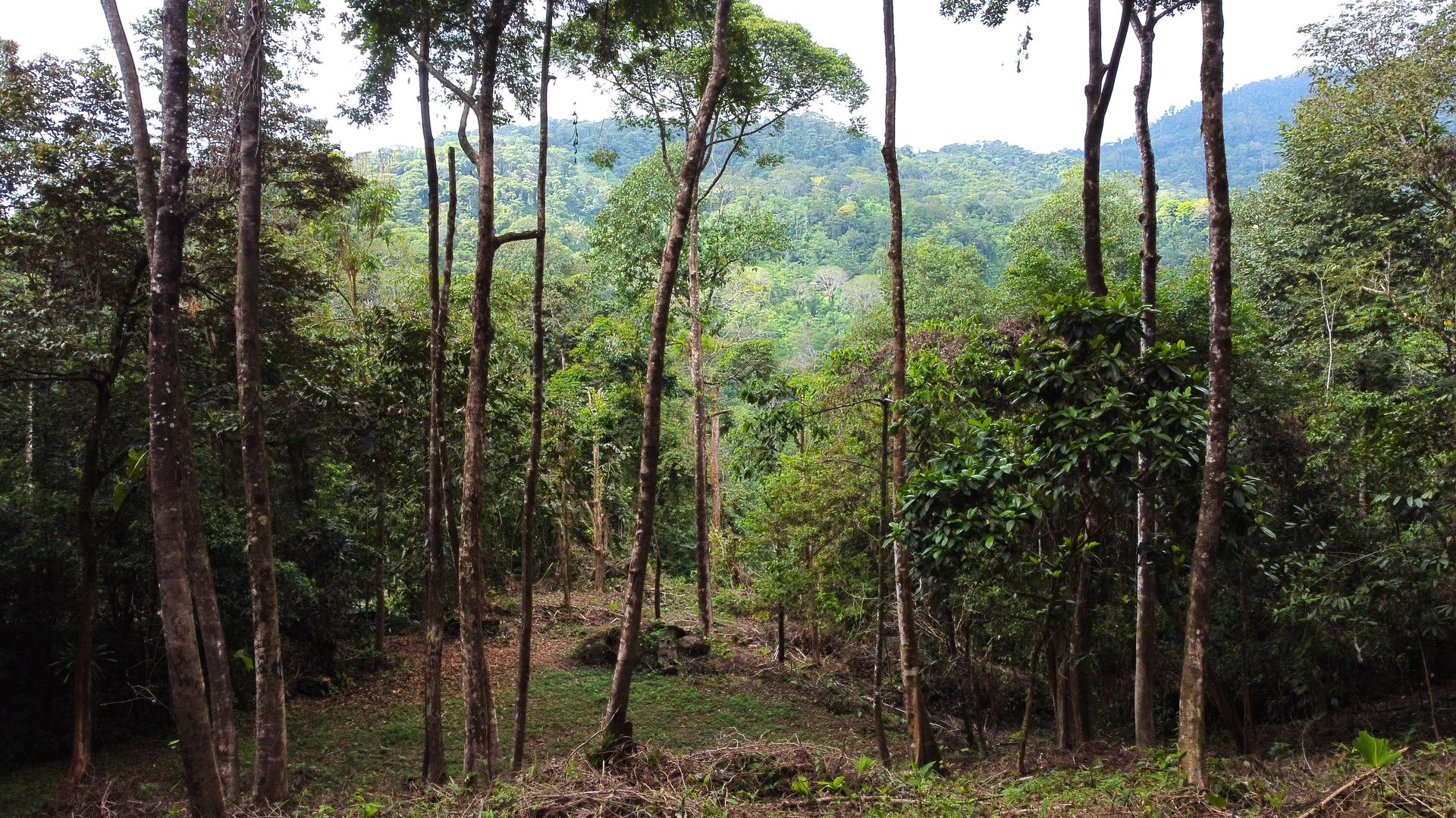 Mountain View Building Lot in Prestigious Gated Community With Private Waterfall & Two Building Sites