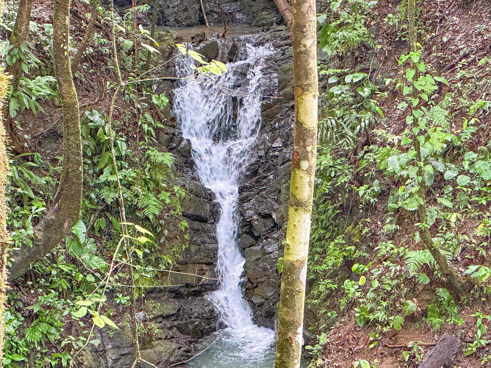 2-Bedroom Jungle Home with River, Waterfall & Pool on 3.8 Acres in Ojochal, Costa Rica
