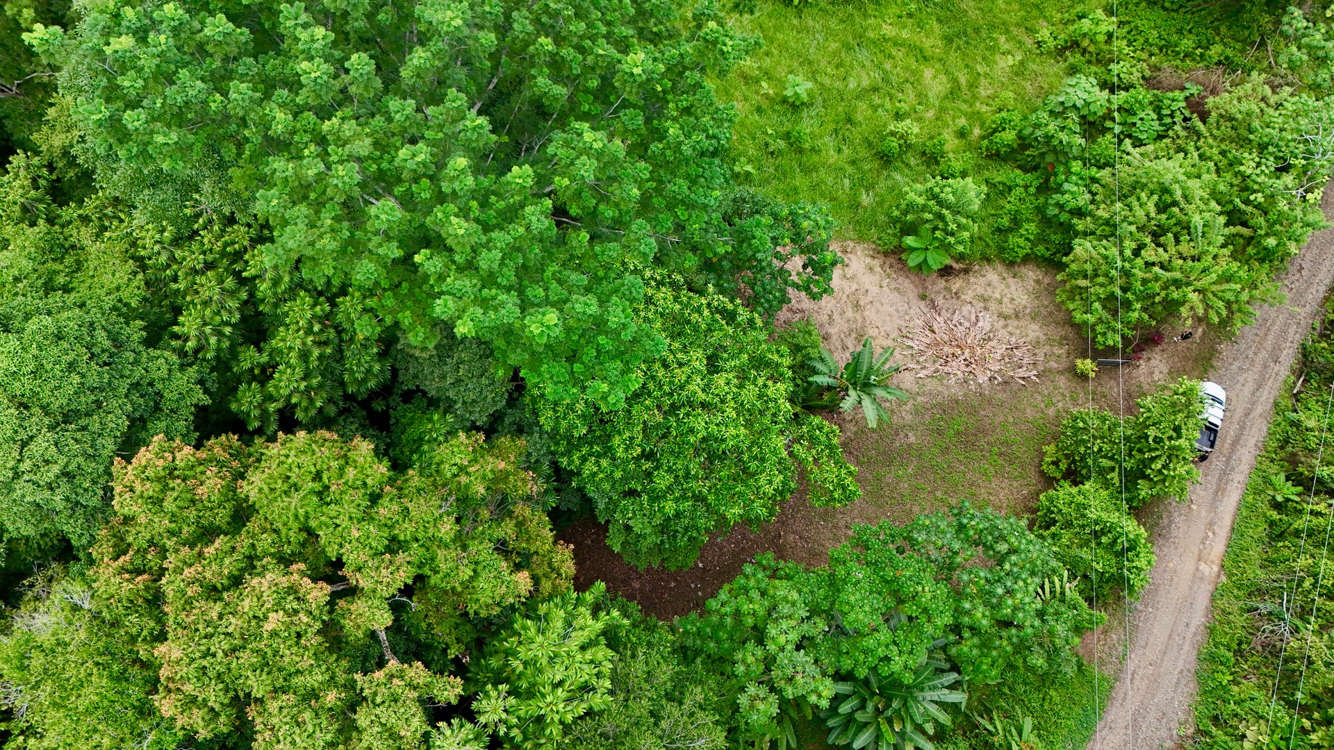 Tres Ríos Jungle Sanctuary | Ready-to-Build Lot Surrounded by Nature