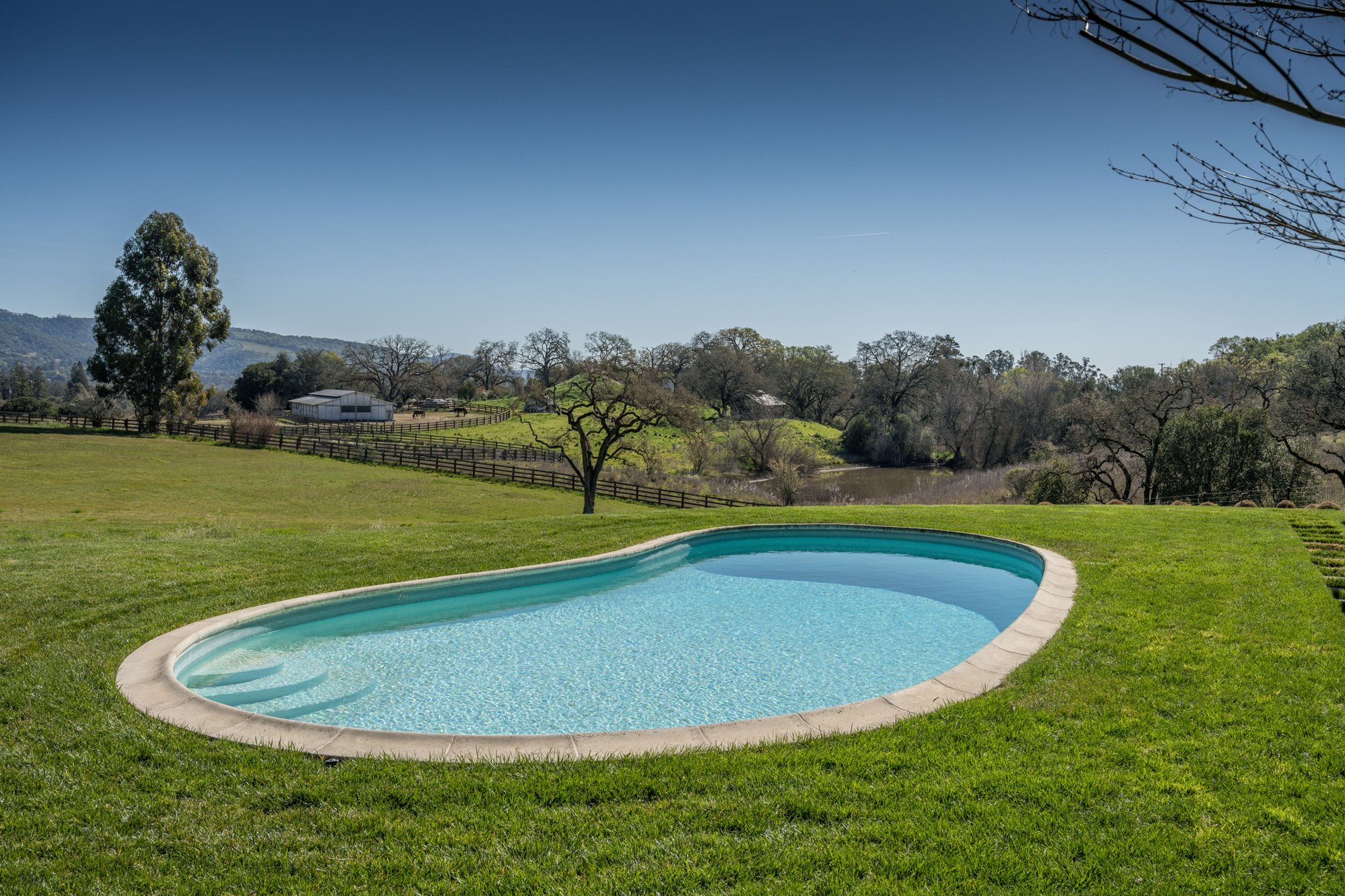 Mid-Century Modern in Sonoma