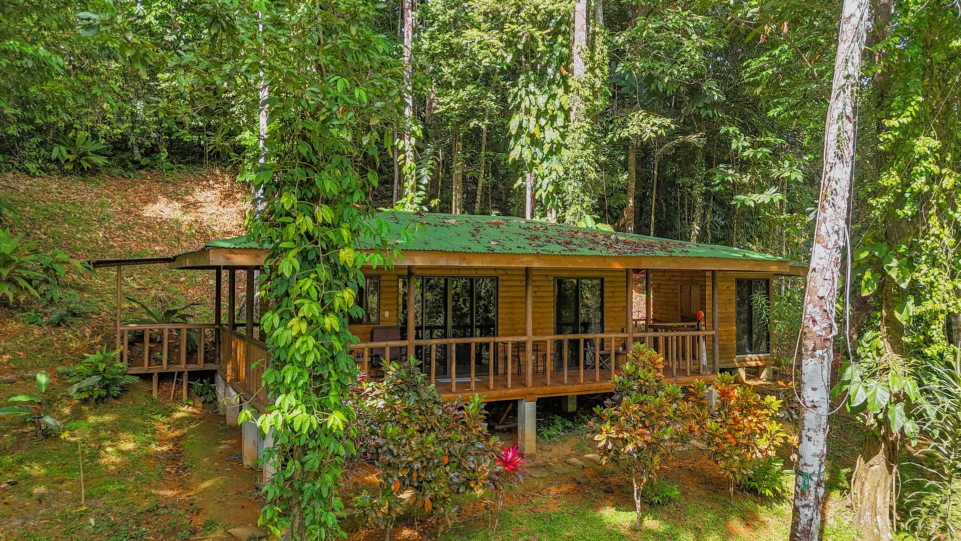 Jungle Retreat with River, Views & 2 Homes in Tres Rios