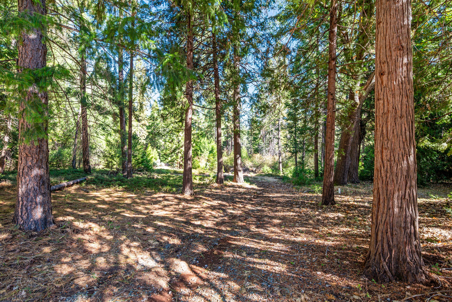 7501 Slug Gulch Road