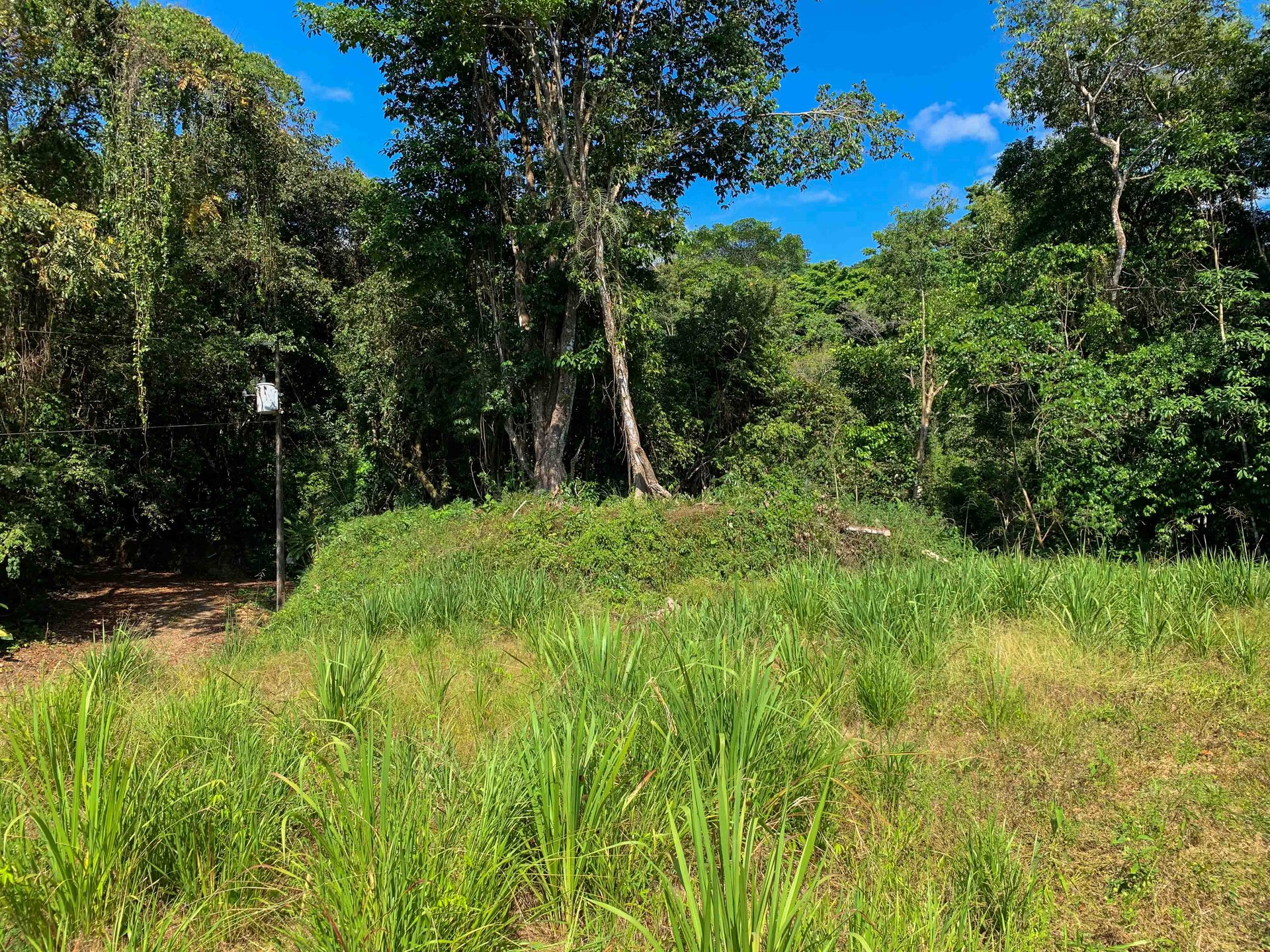 Spectacular and Affordable Property close to Dominical