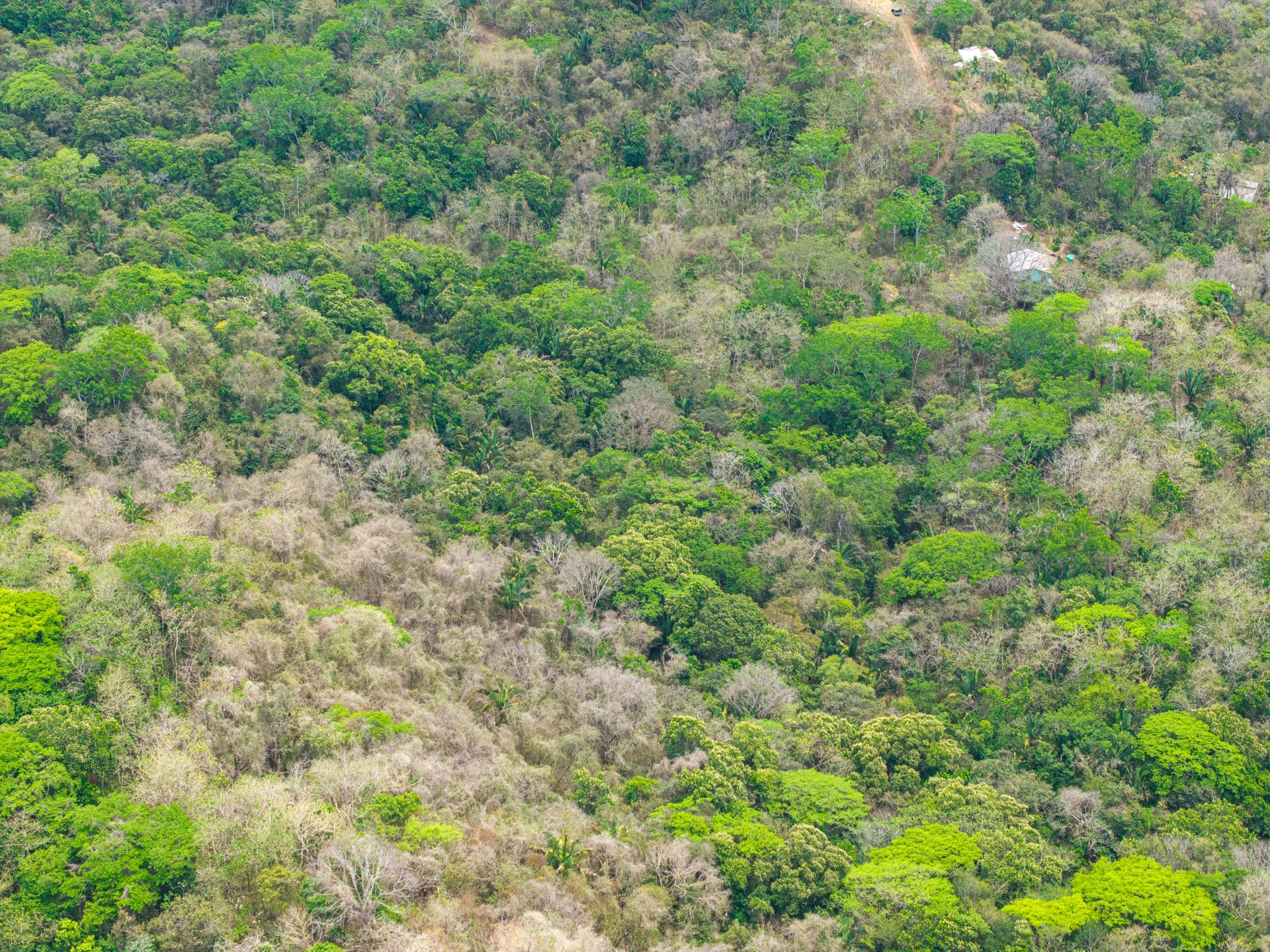San Juanillo Farm | Large-Scale Ocean View Land with Investment Potential