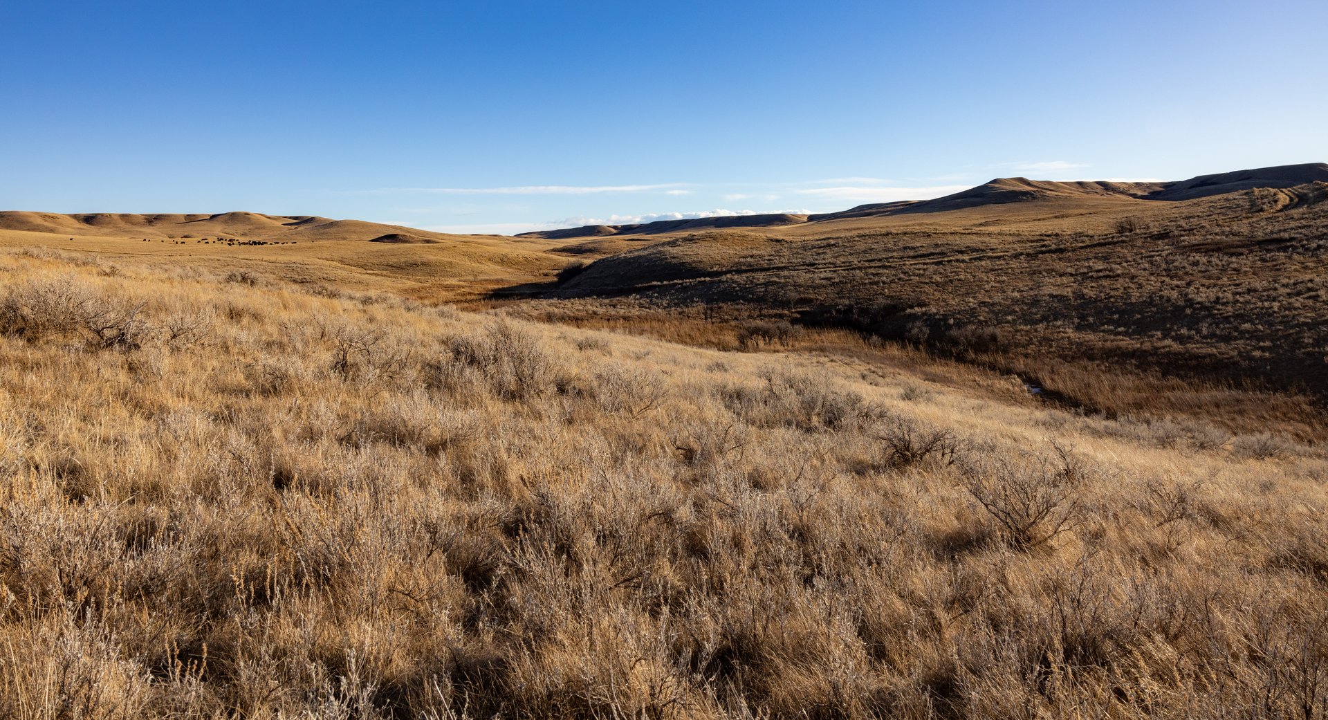 Prairie Rise Ranch
