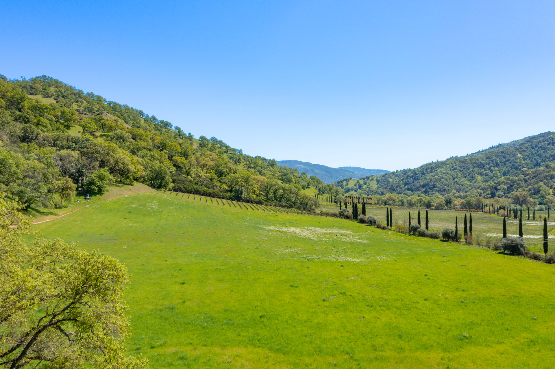 Open Hand Ranch 