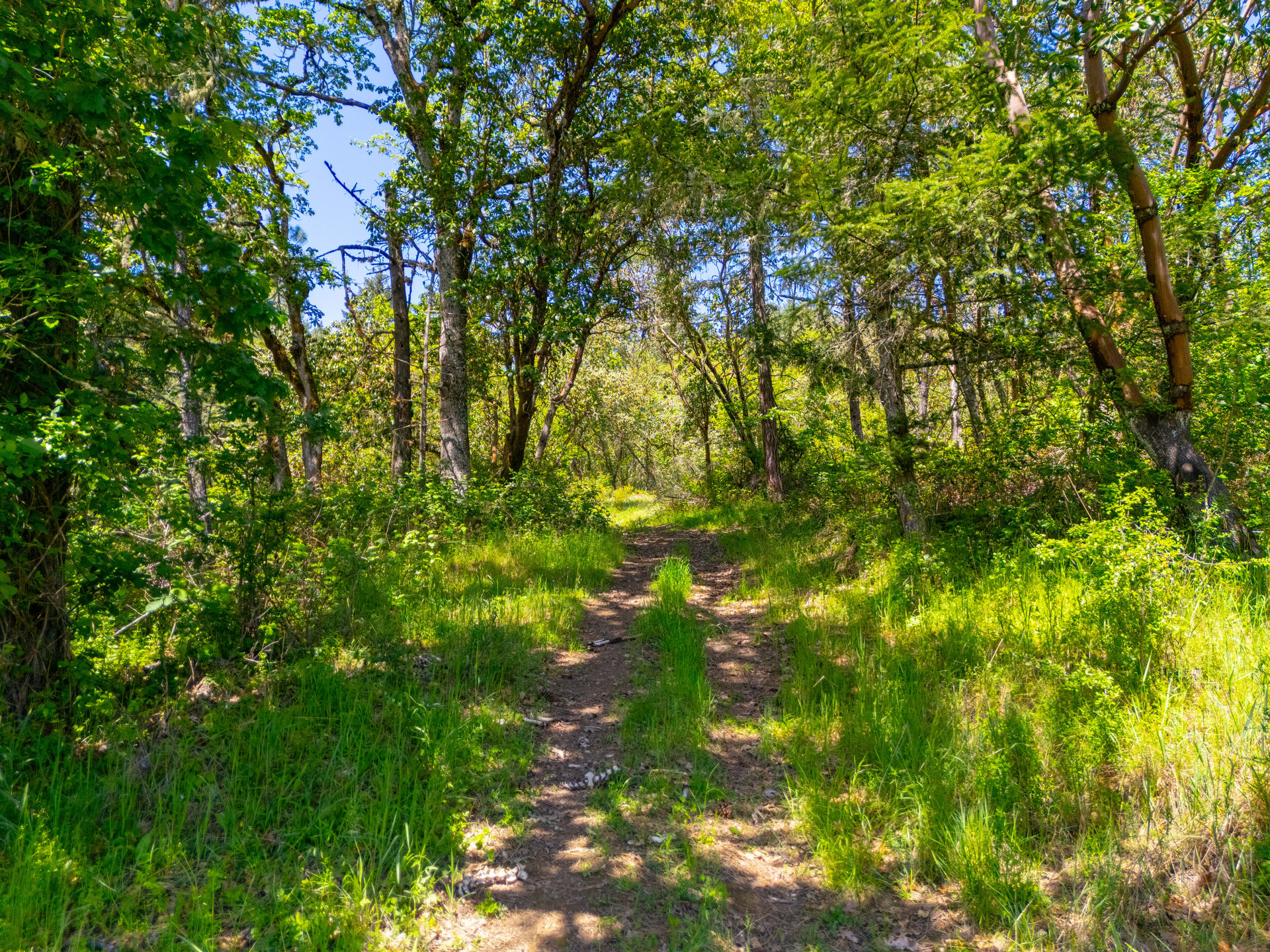 SUTHERLIN HEIGHTS