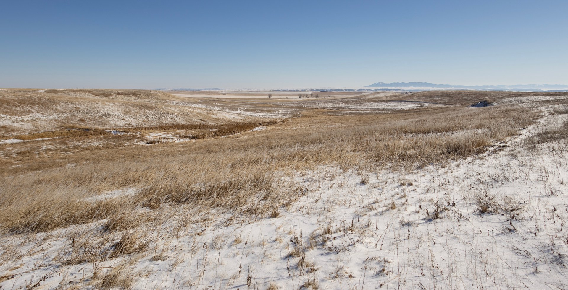 Upland Edge