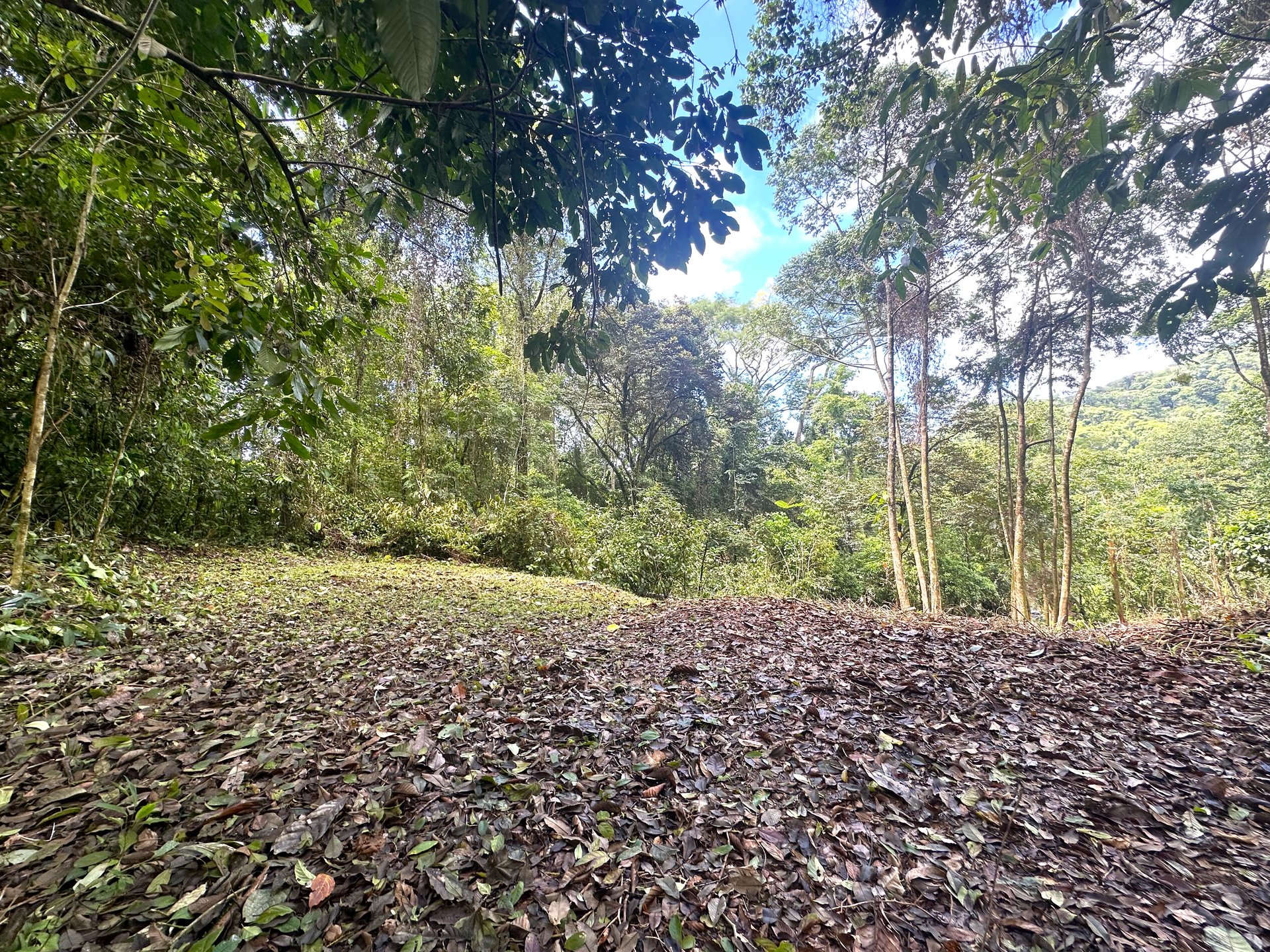 Mountain View Building Lot in Prestigious Gated Community With Private Waterfall & Two Building Sites