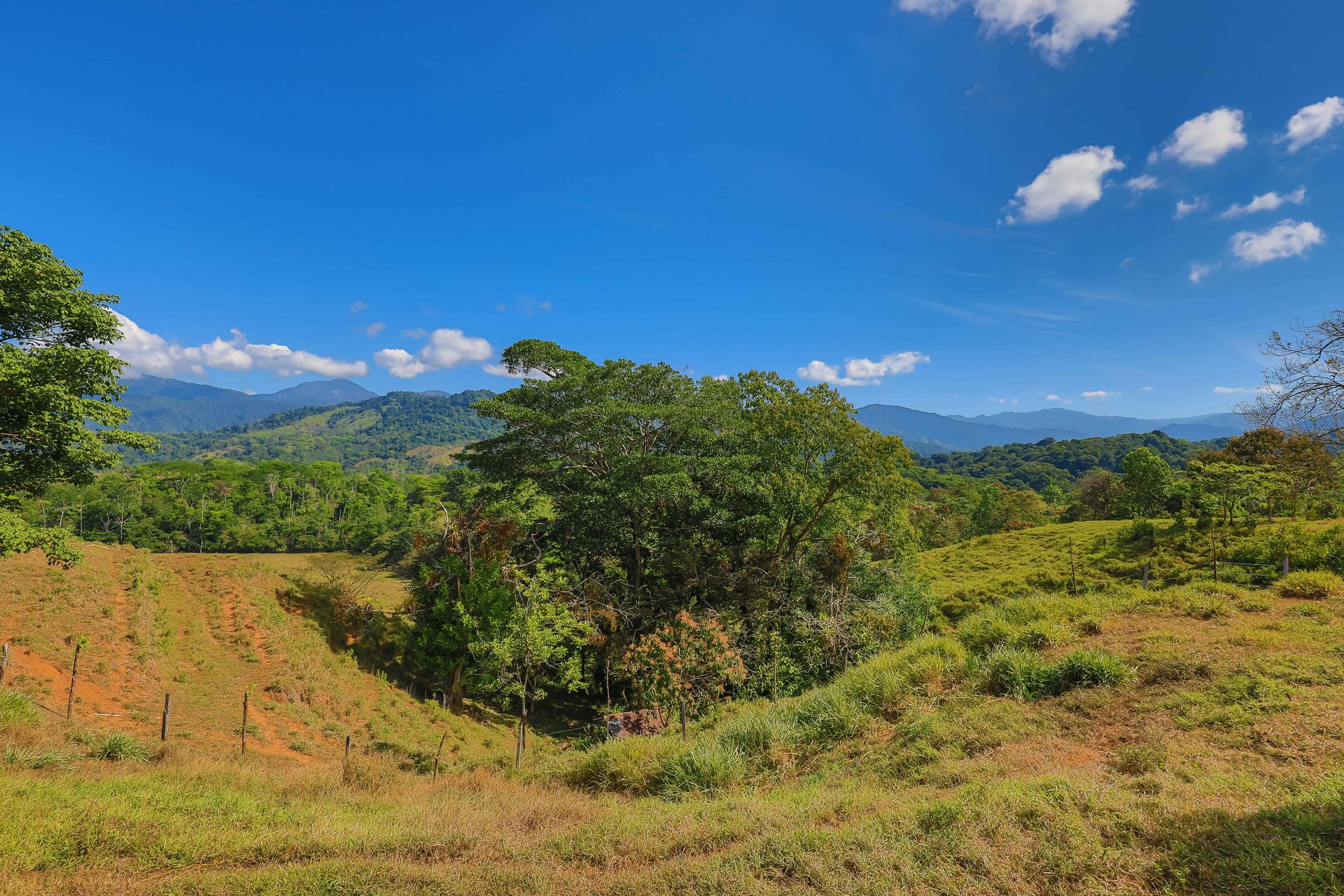 Hacienda-Style Retreat For Sale in Naranjito
