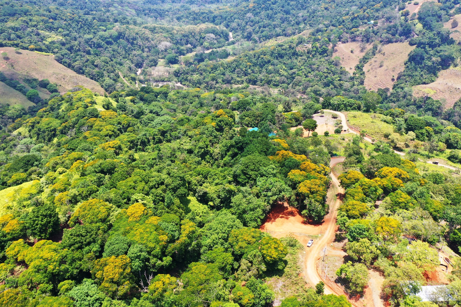 2.5 Acre Jungle and Valley View Home site in Dominical