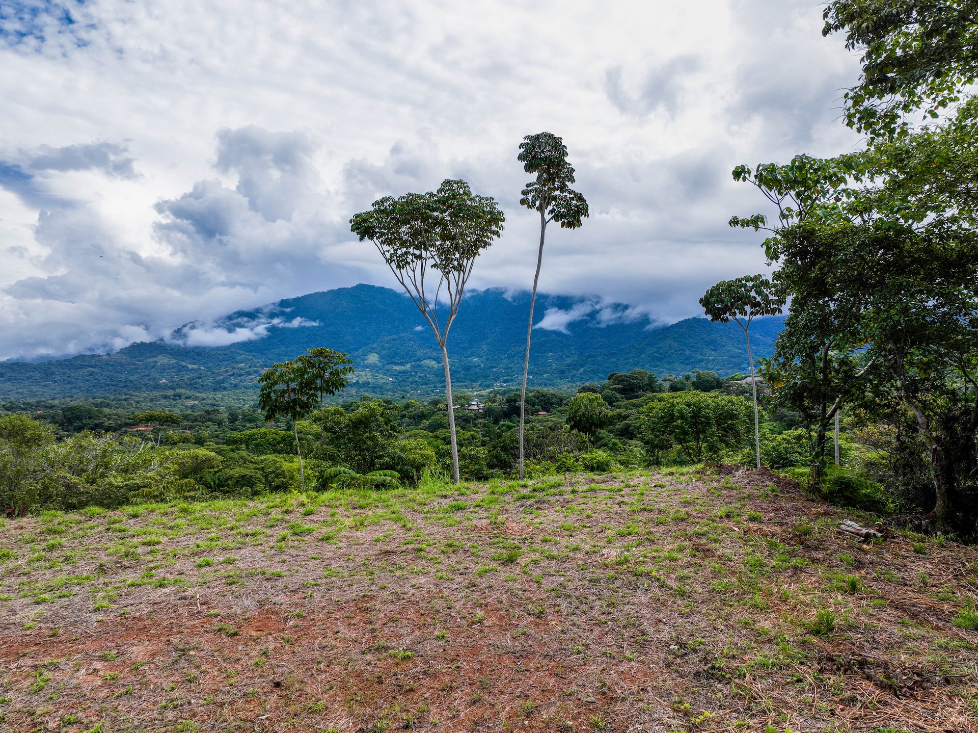 Ocean, Mountain View Ready to Build Lot on Desired Calle Perezoso